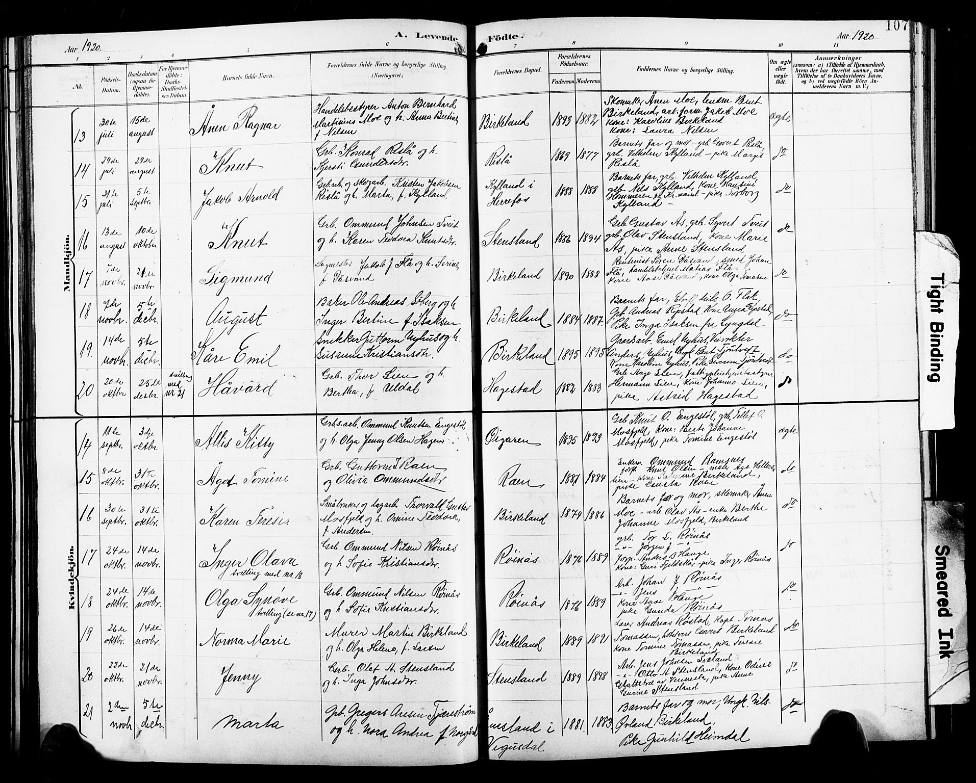 Birkenes sokneprestkontor, SAK/1111-0004/F/Fb/L0004: Parish register (copy) no. B 4, 1893-1930, p. 107