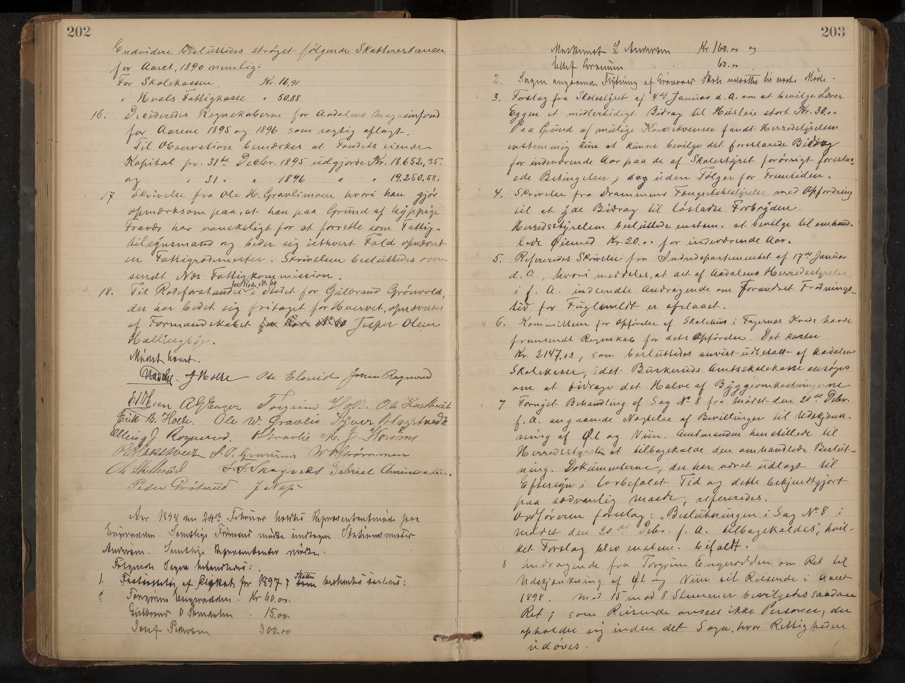 Ådal formannskap og sentraladministrasjon, IKAK/0614021/A/Aa/L0002: Møtebok, 1891-1907, p. 202-203