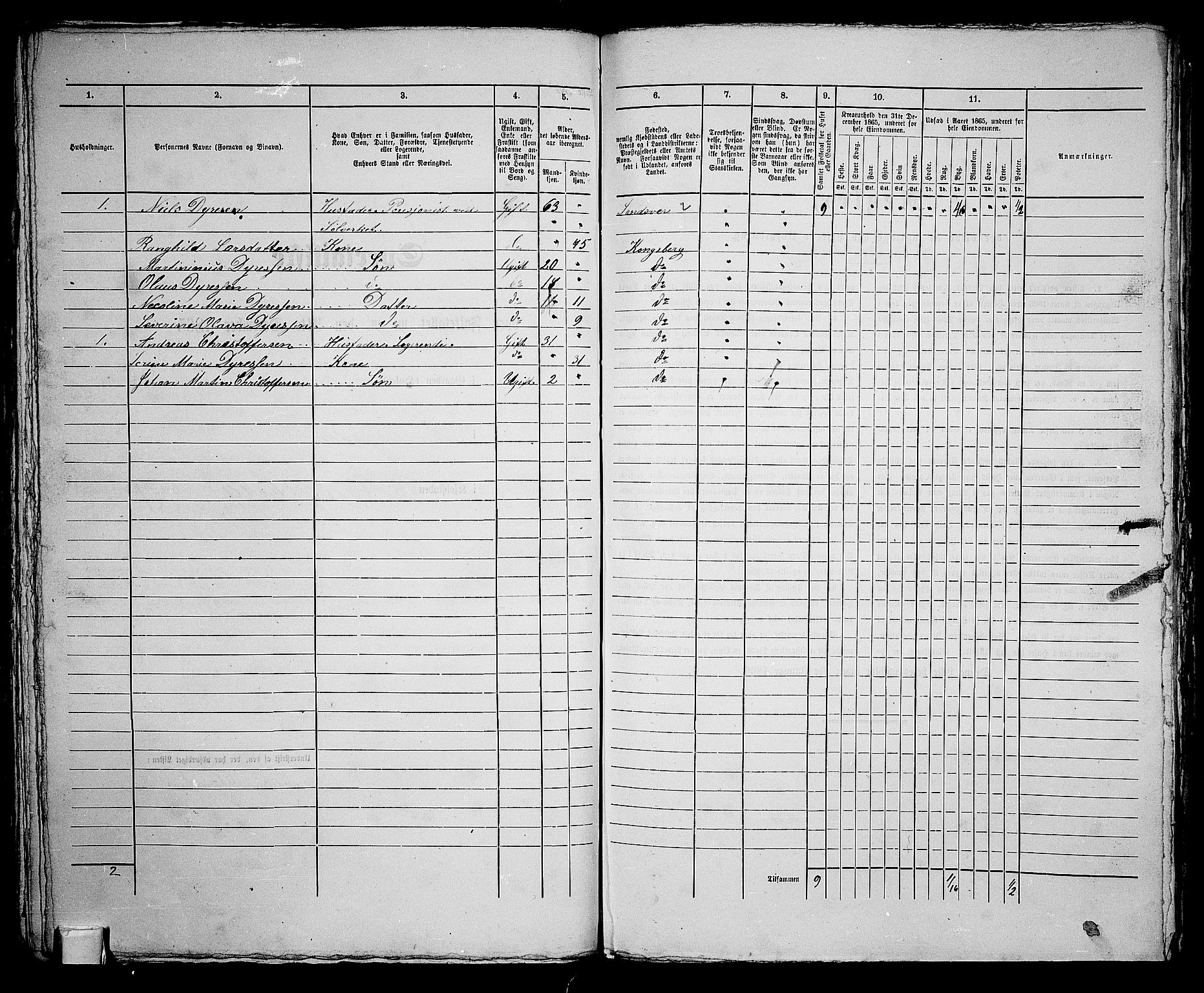 RA, 1865 census for Kongsberg/Kongsberg, 1865, p. 217