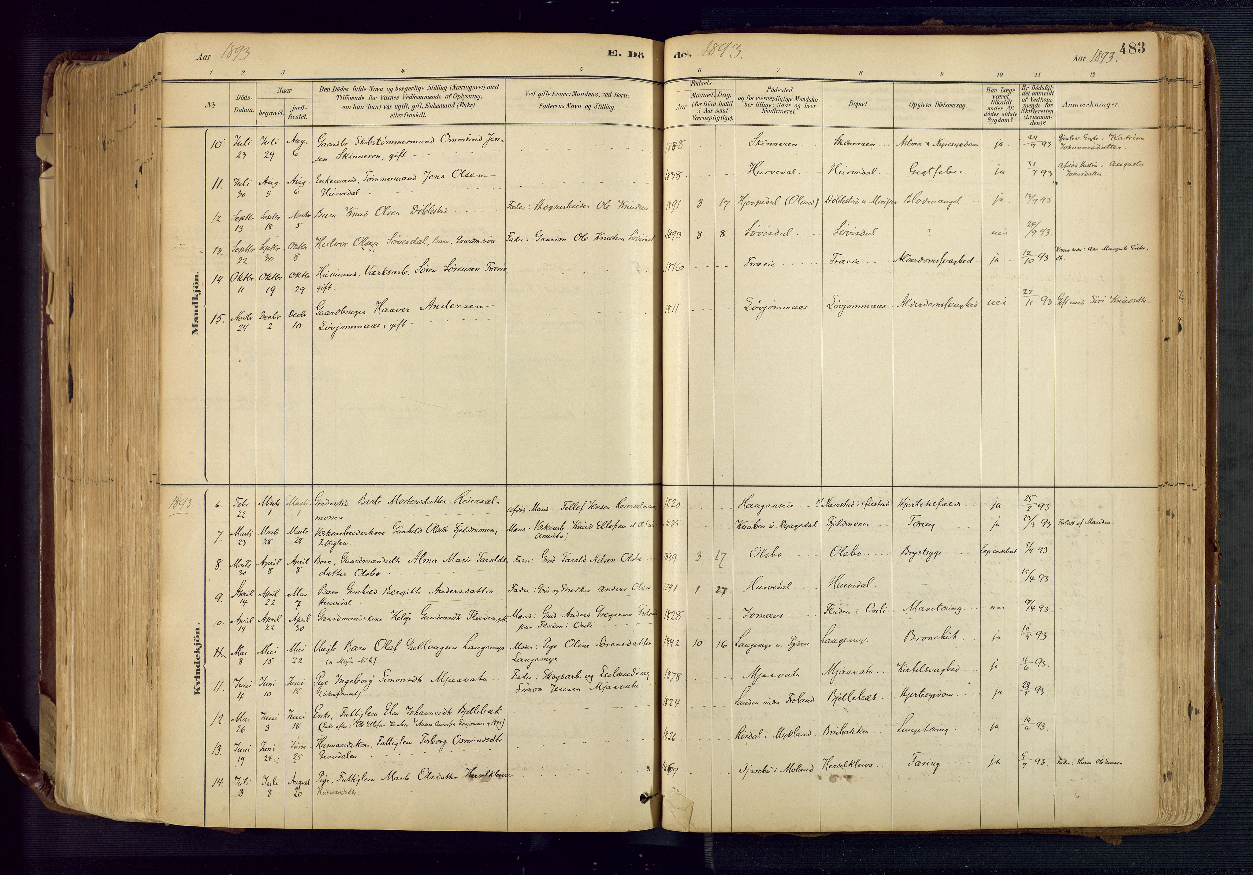 Froland sokneprestkontor, SAK/1111-0013/F/Fa/L0005: Parish register (official) no. A 5, 1882-1921, p. 483