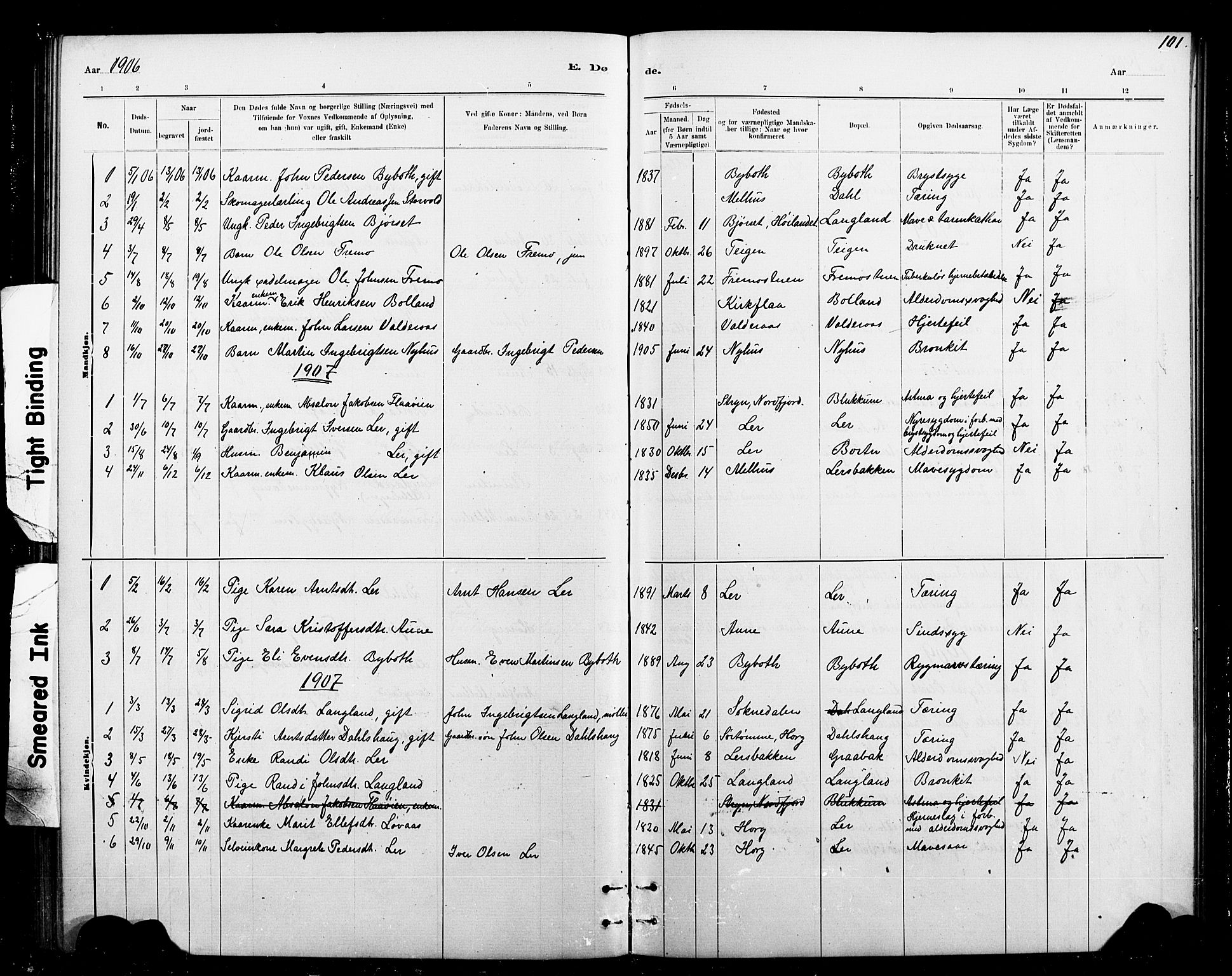 Ministerialprotokoller, klokkerbøker og fødselsregistre - Sør-Trøndelag, AV/SAT-A-1456/693/L1123: Parish register (copy) no. 693C04, 1887-1910, p. 101