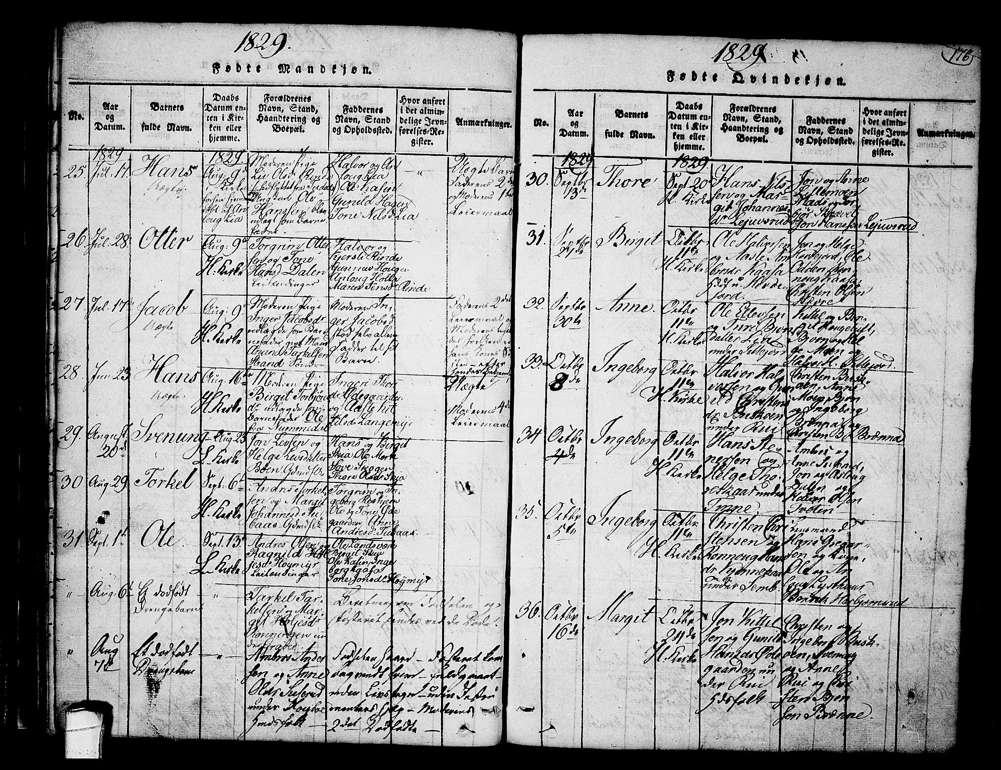 Heddal kirkebøker, SAKO/A-268/F/Fa/L0005: Parish register (official) no. I 5, 1814-1837, p. 175-176