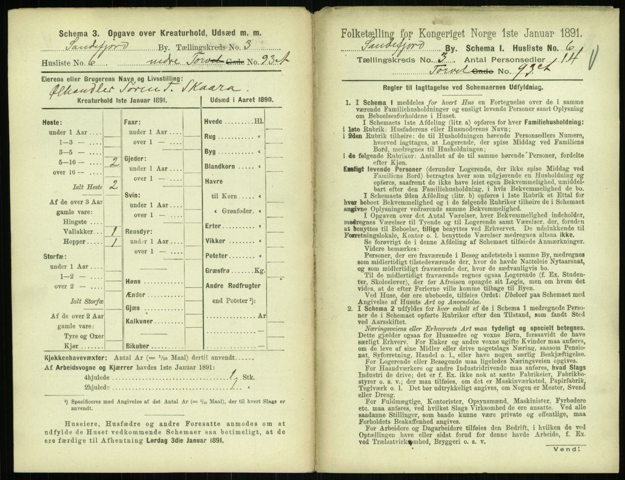 RA, 1891 census for 0706 Sandefjord, 1891, p. 265