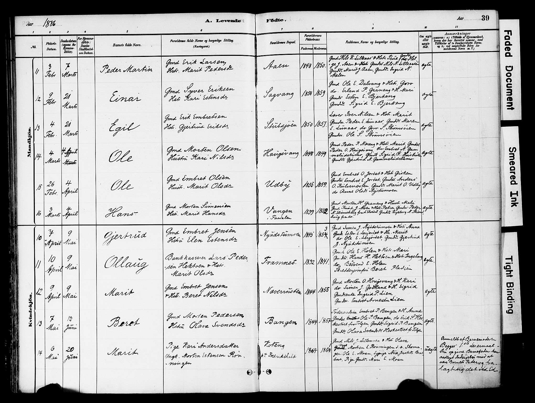 Tynset prestekontor, AV/SAH-PREST-058/H/Ha/Haa/L0022: Parish register (official) no. 22, 1880-1899, p. 39