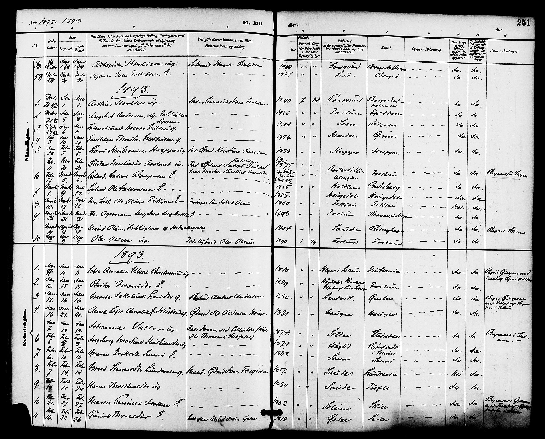 Gjerpen kirkebøker, SAKO/A-265/F/Fa/L0010: Parish register (official) no. I 10, 1886-1895, p. 251