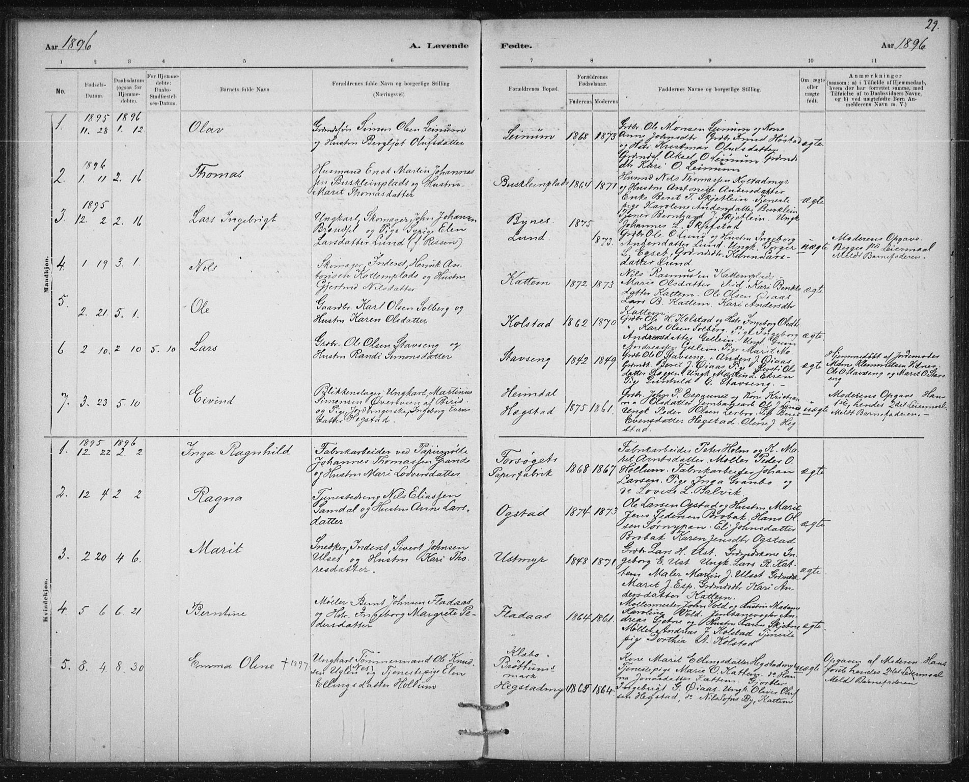 Ministerialprotokoller, klokkerbøker og fødselsregistre - Sør-Trøndelag, AV/SAT-A-1456/613/L0392: Parish register (official) no. 613A01, 1887-1906, p. 29