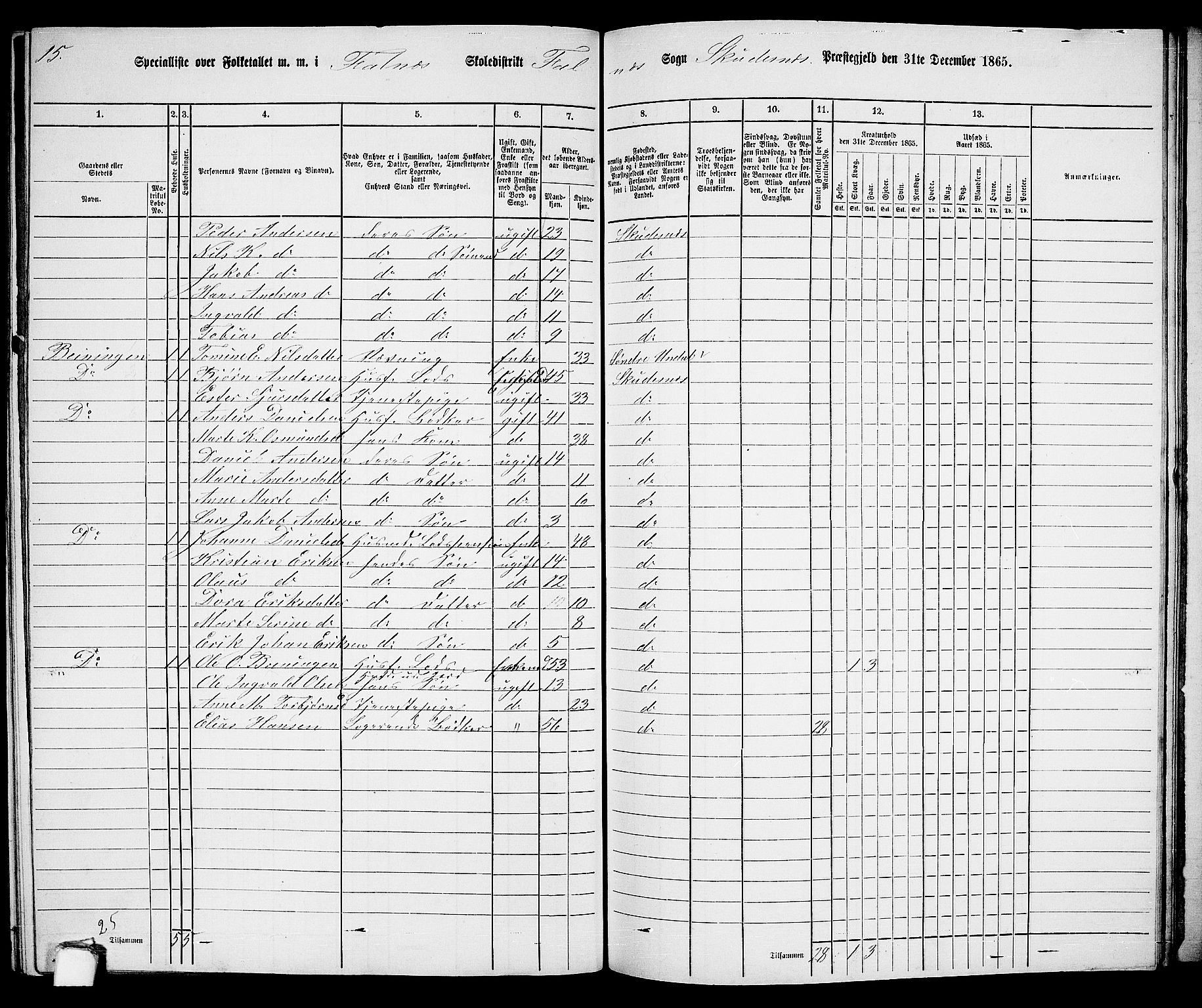 RA, 1865 census for Skudenes, 1865, p. 183