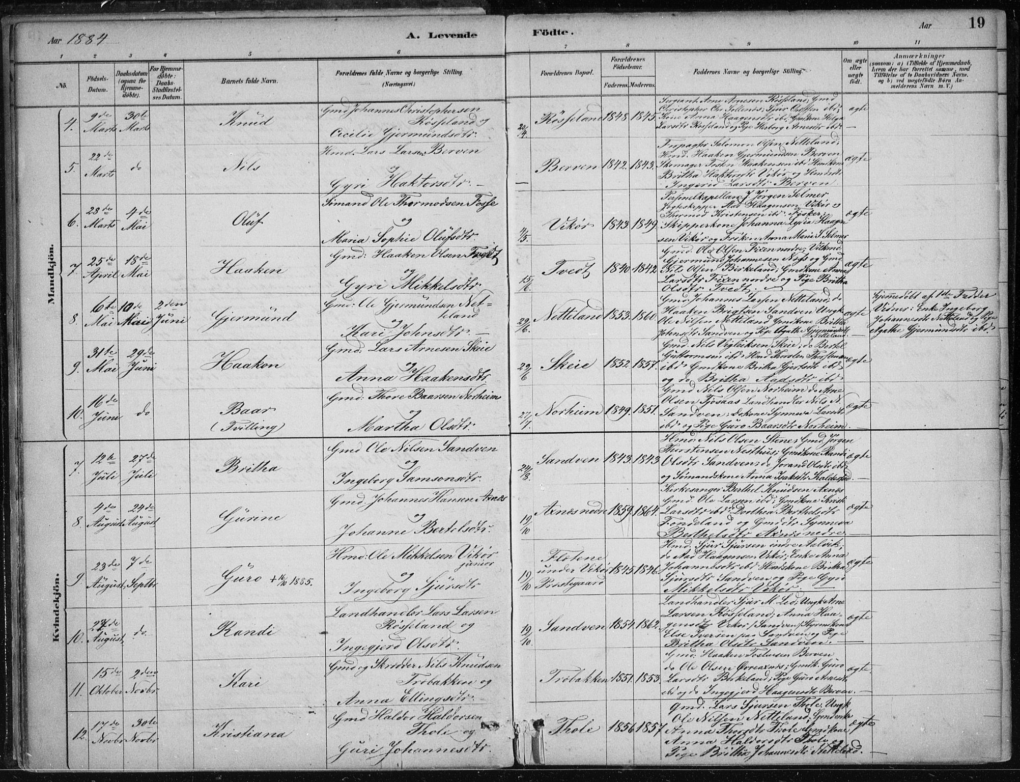 Kvam sokneprestembete, AV/SAB-A-76201/H/Haa: Parish register (official) no. B  1, 1880-1908, p. 19