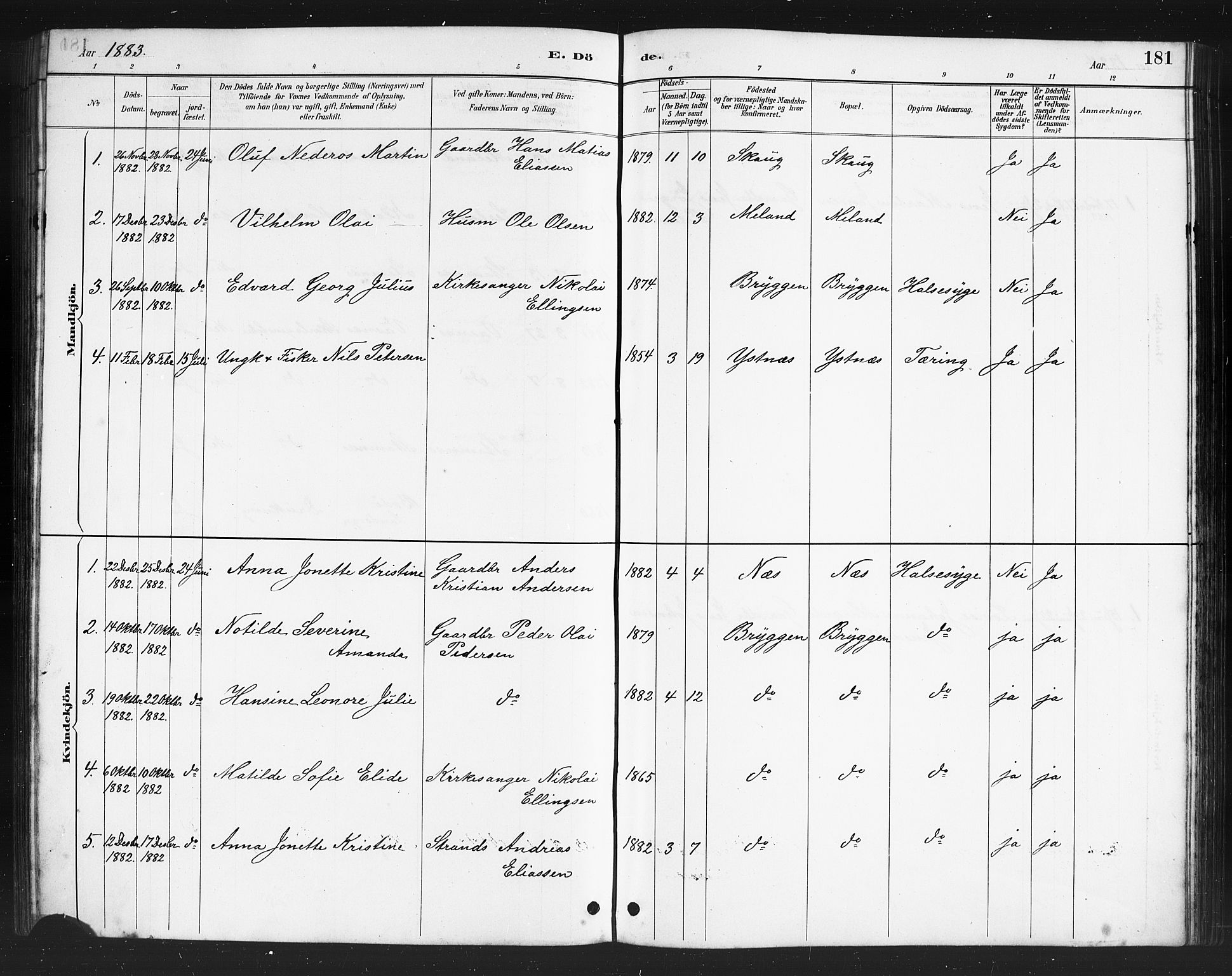 Ministerialprotokoller, klokkerbøker og fødselsregistre - Nordland, AV/SAT-A-1459/808/L0131: Parish register (copy) no. 808C02, 1879-1919, p. 181