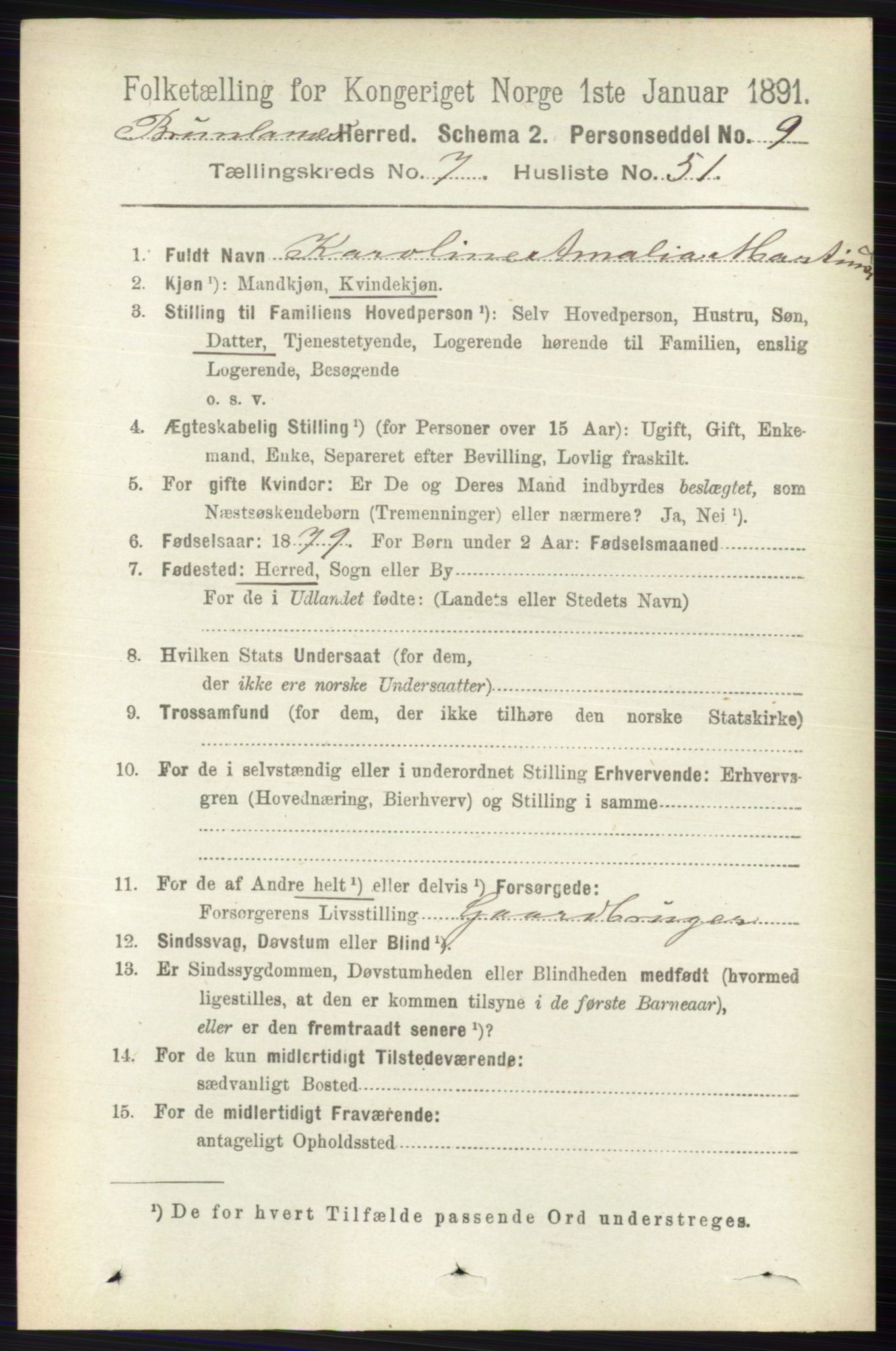 RA, 1891 census for 0726 Brunlanes, 1891, p. 3293