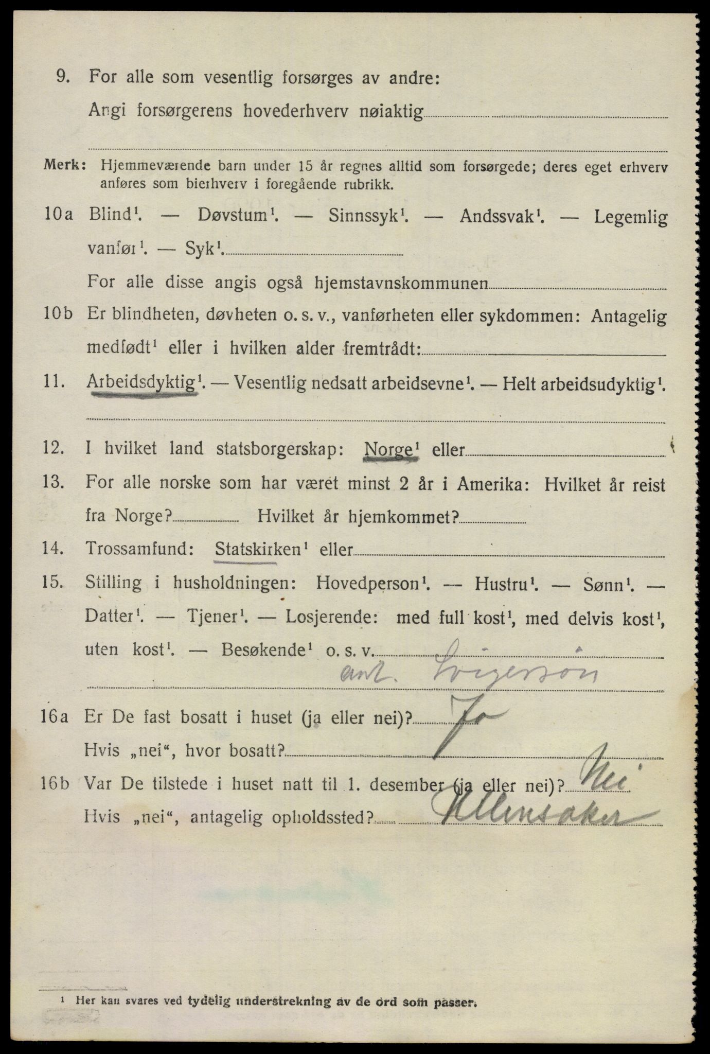 SAO, 1920 census for Nes, 1920, p. 17721