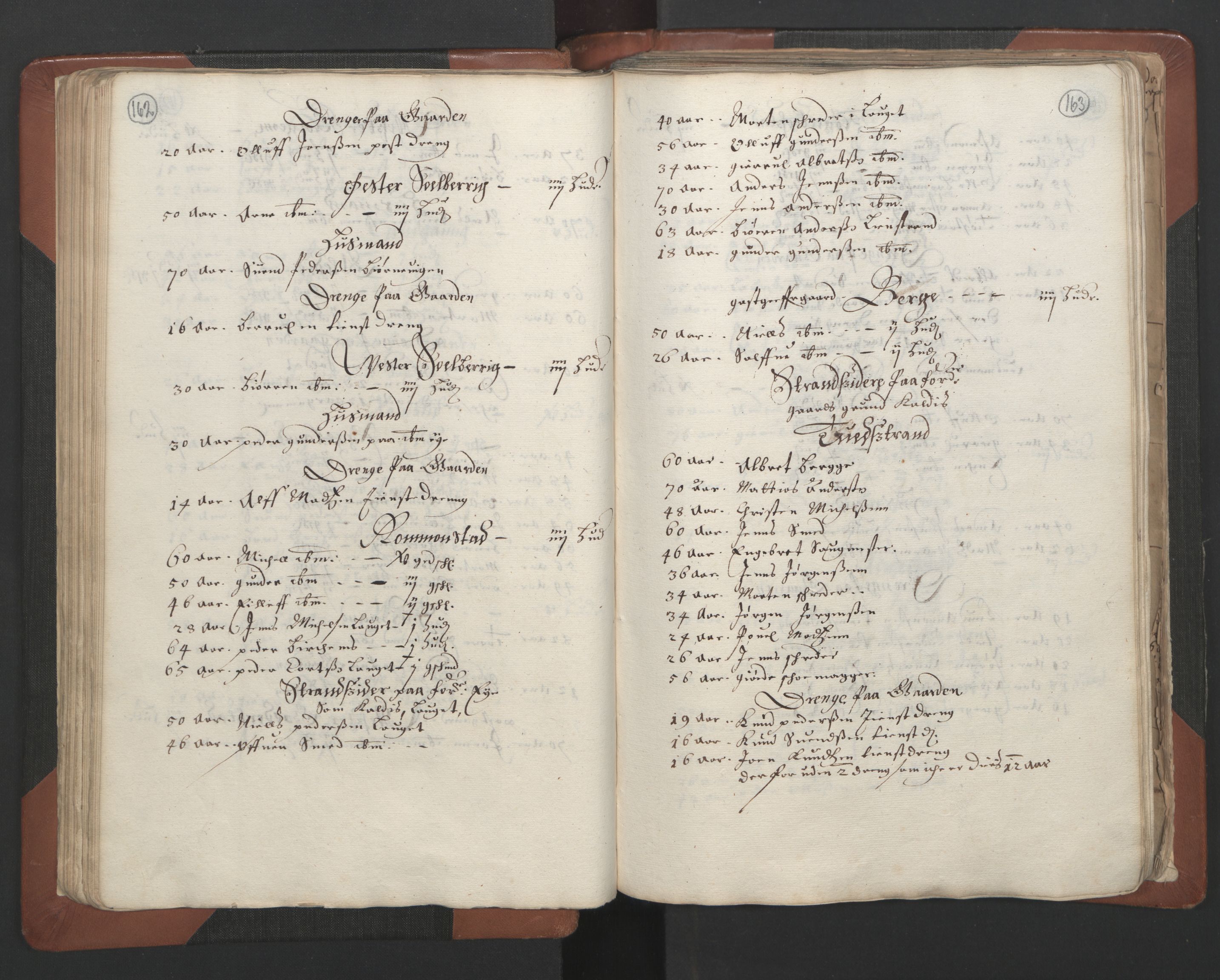 RA, Bailiff's Census 1664-1666, no. 7: Nedenes fogderi, 1664-1666, p. 162-163