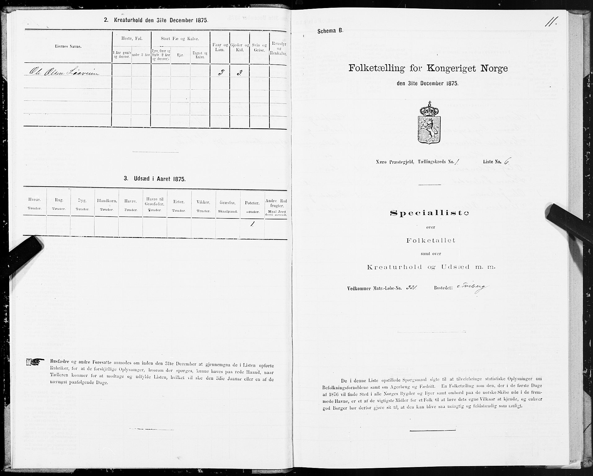 SAT, 1875 census for 1751P Nærøy, 1875, p. 1011