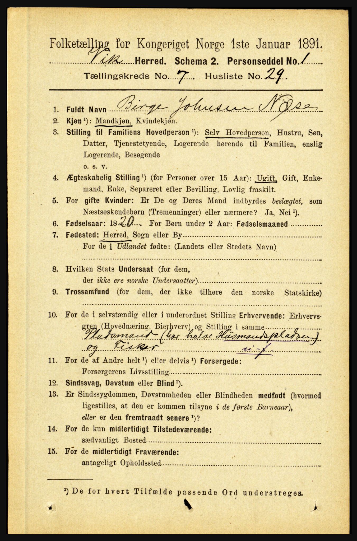 RA, 1891 census for 1417 Vik, 1891, p. 3381