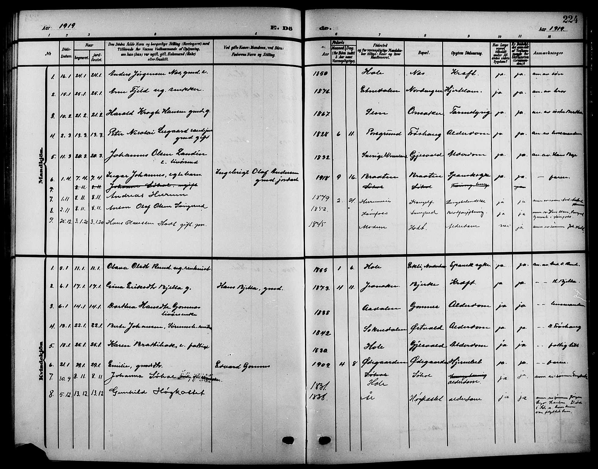 Hole kirkebøker, AV/SAKO-A-228/G/Ga/L0004: Parish register (copy) no. I 4, 1905-1924, p. 224