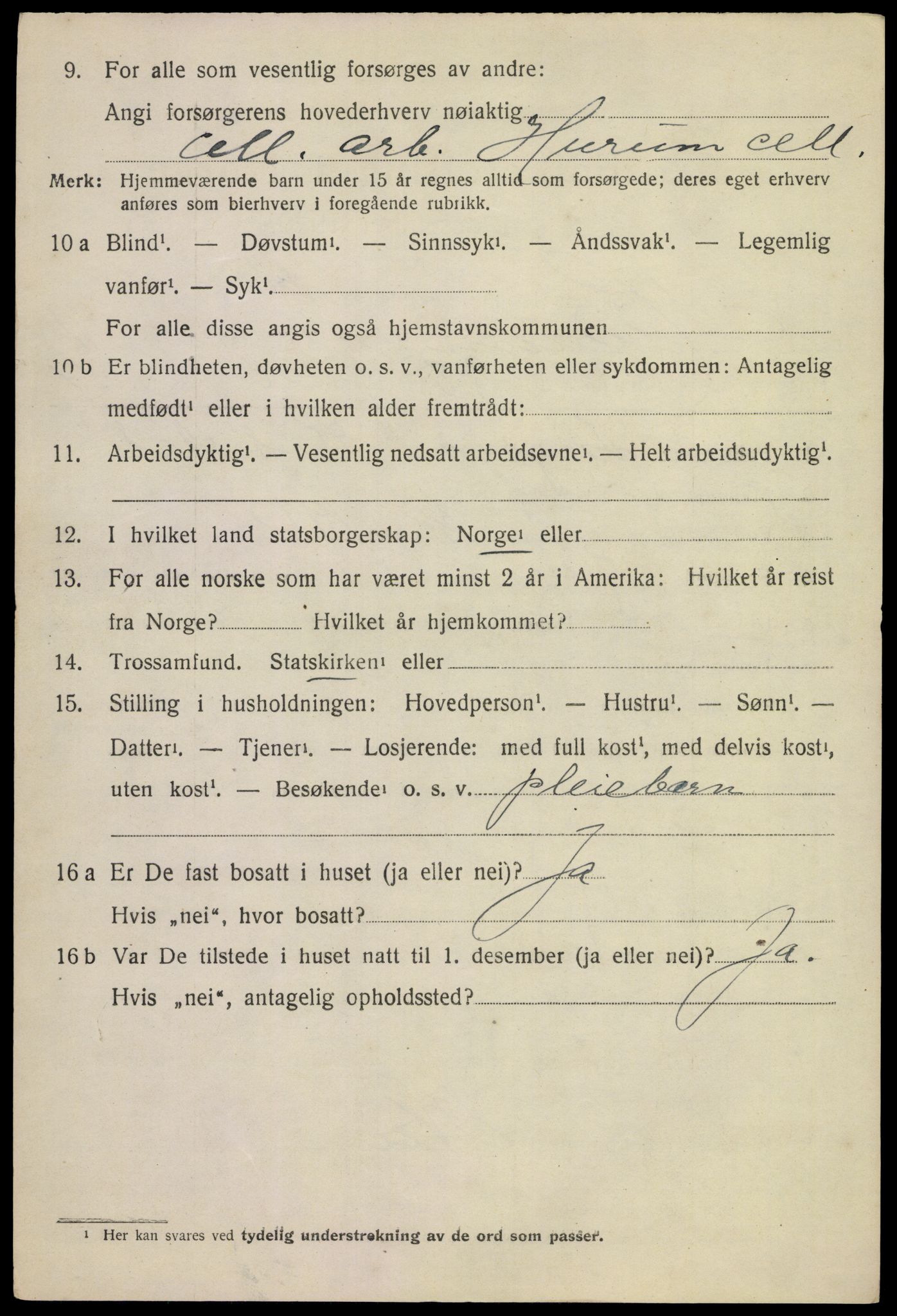 SAKO, 1920 census for Hurum, 1920, p. 10111