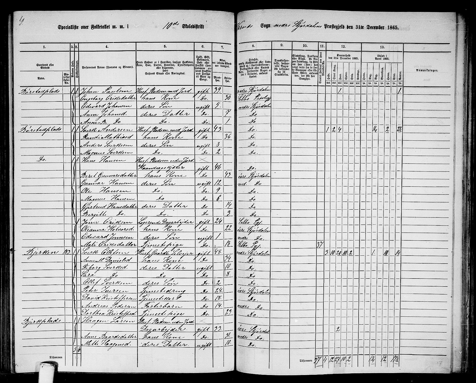 RA, 1865 census for Nedre Stjørdal, 1865, p. 210