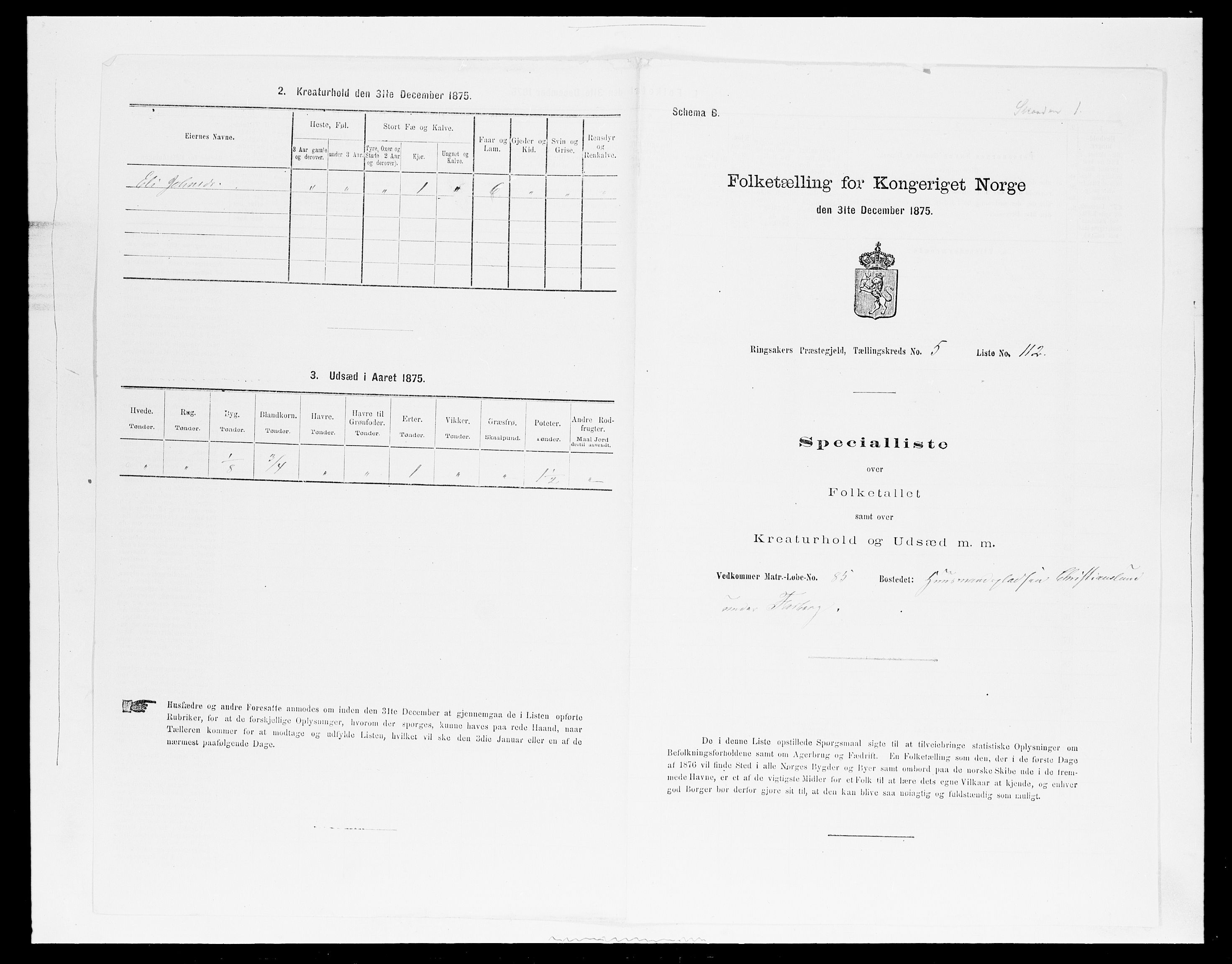 SAH, 1875 census for 0412P Ringsaker, 1875, p. 1153