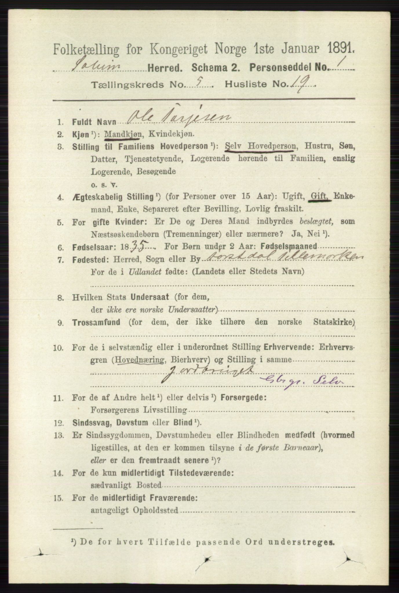 RA, 1891 census for 0818 Solum, 1891, p. 952