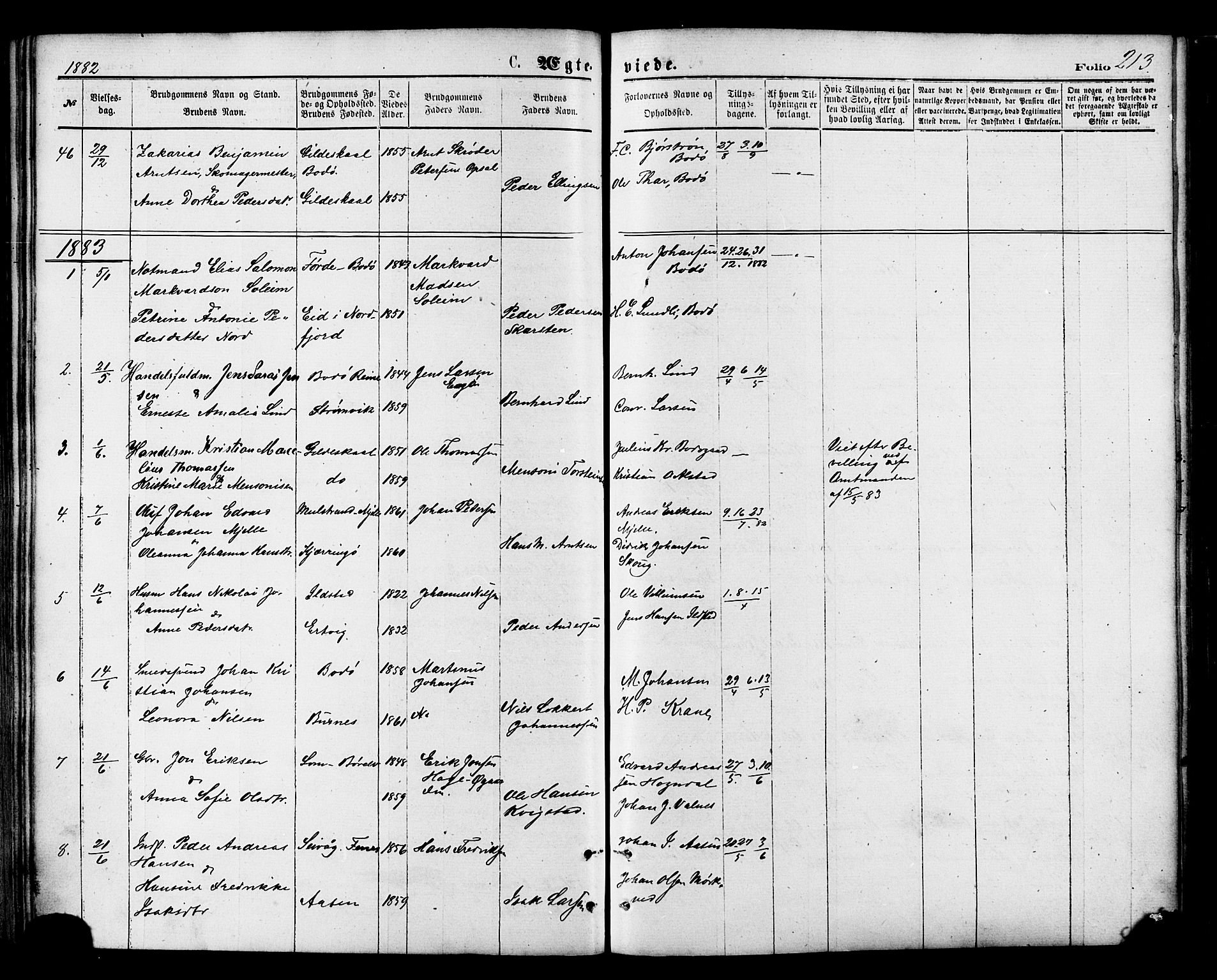 Ministerialprotokoller, klokkerbøker og fødselsregistre - Nordland, AV/SAT-A-1459/801/L0009: Parish register (official) no. 801A09, 1876-1883, p. 213