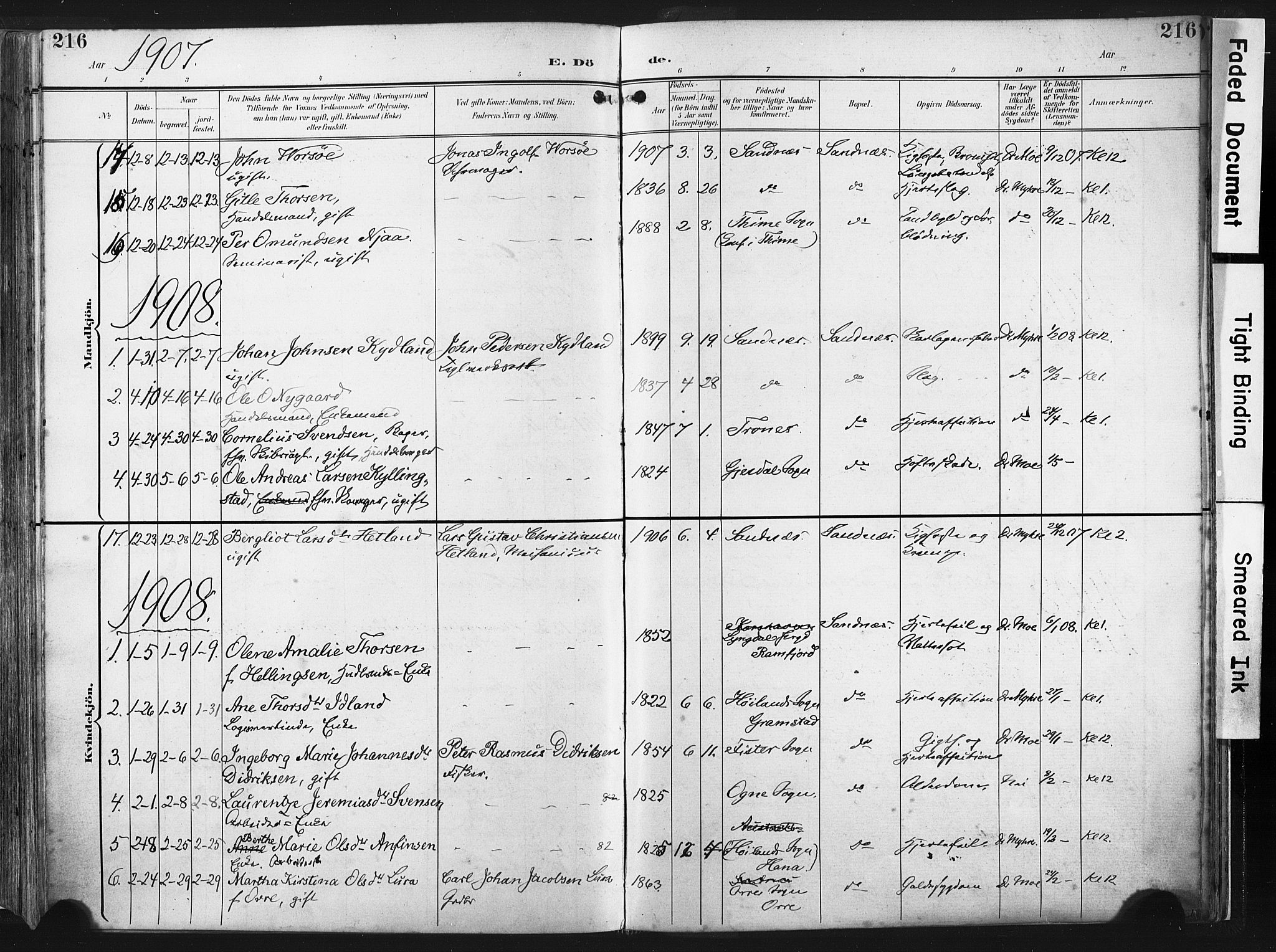 Høyland sokneprestkontor, SAST/A-101799/001/30BA/L0016: Parish register (official) no. A 16, 1899-1911, p. 216