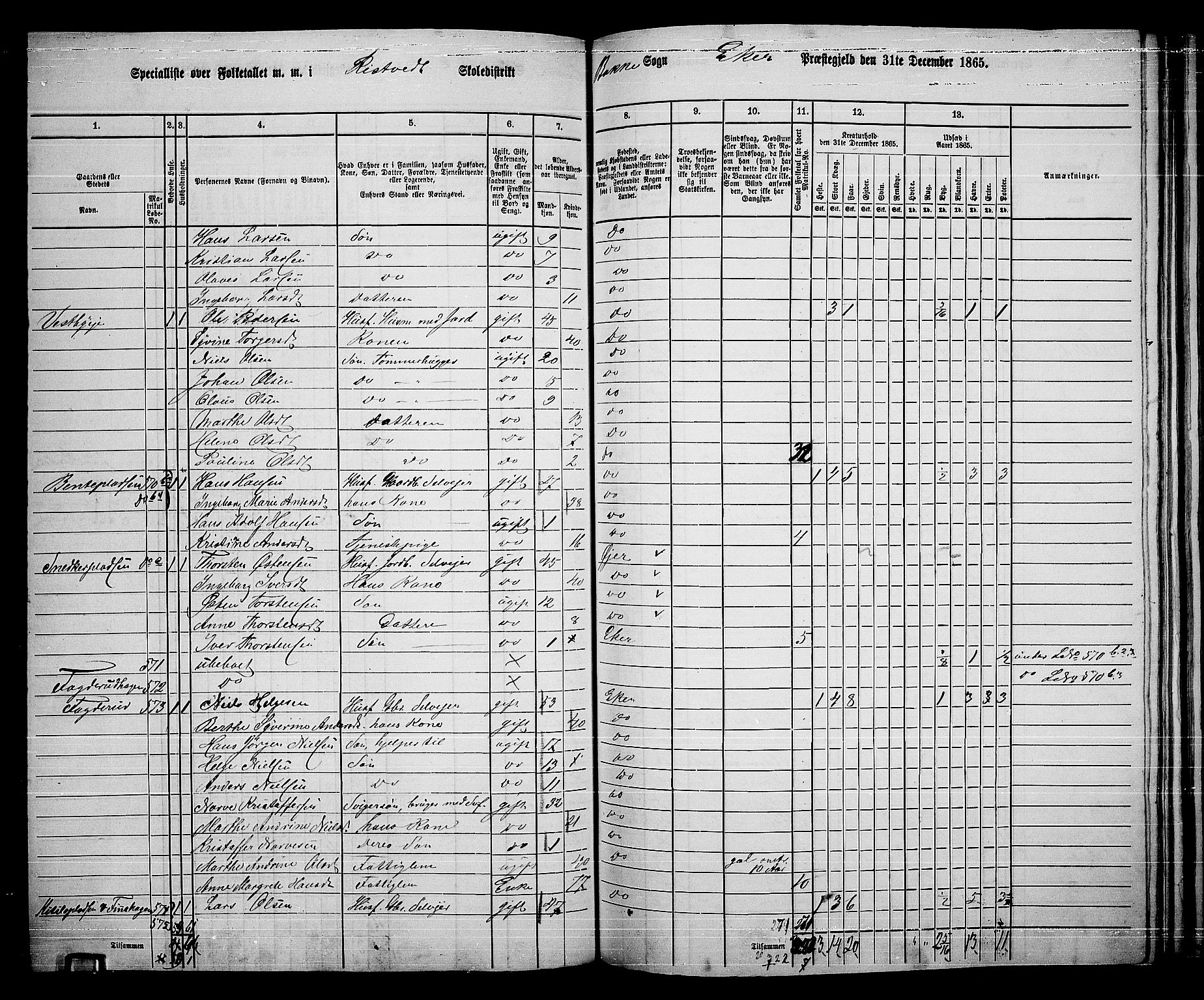 RA, 1865 census for Eiker, 1865, p. 424