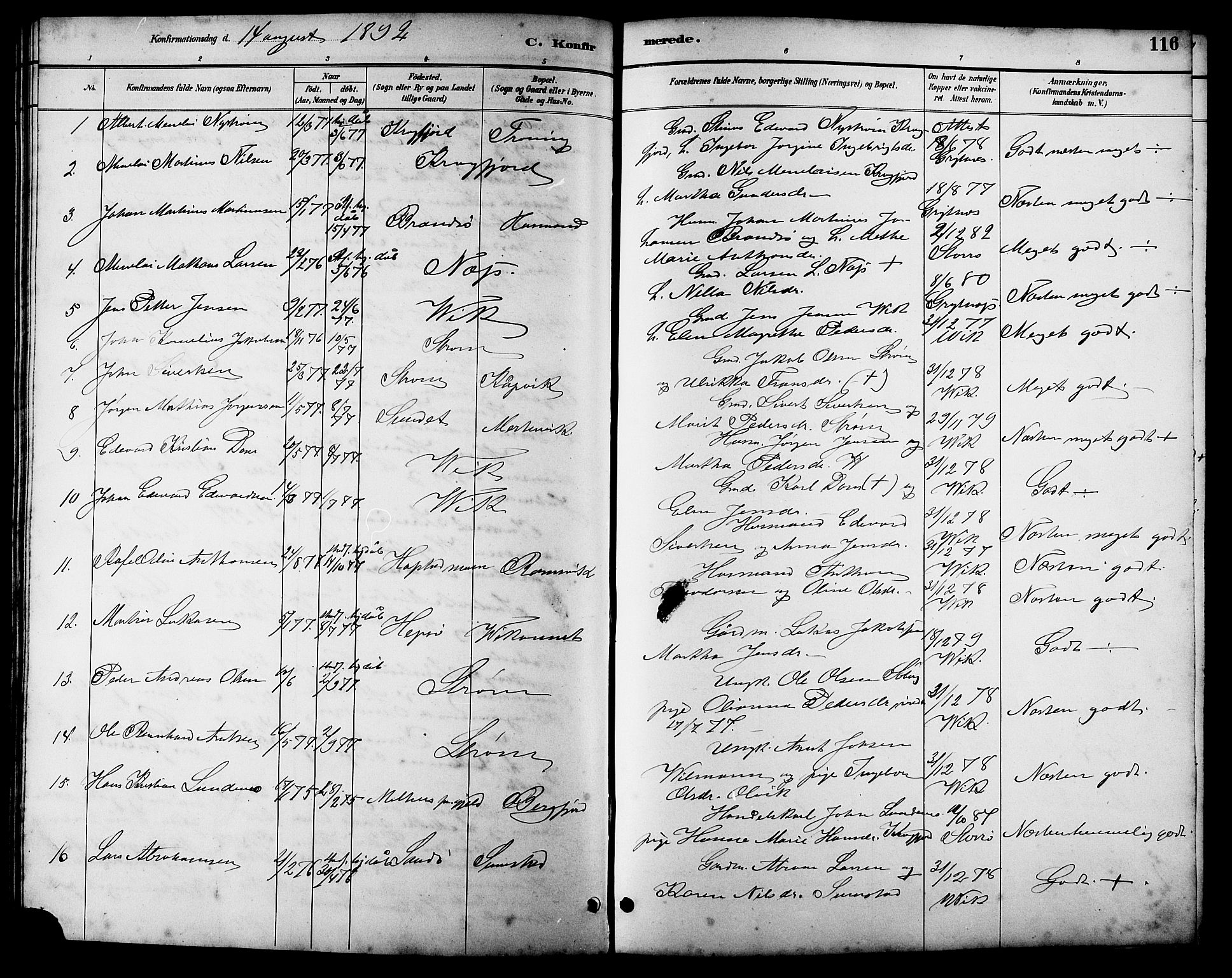 Ministerialprotokoller, klokkerbøker og fødselsregistre - Sør-Trøndelag, SAT/A-1456/657/L0716: Parish register (copy) no. 657C03, 1889-1904, p. 116
