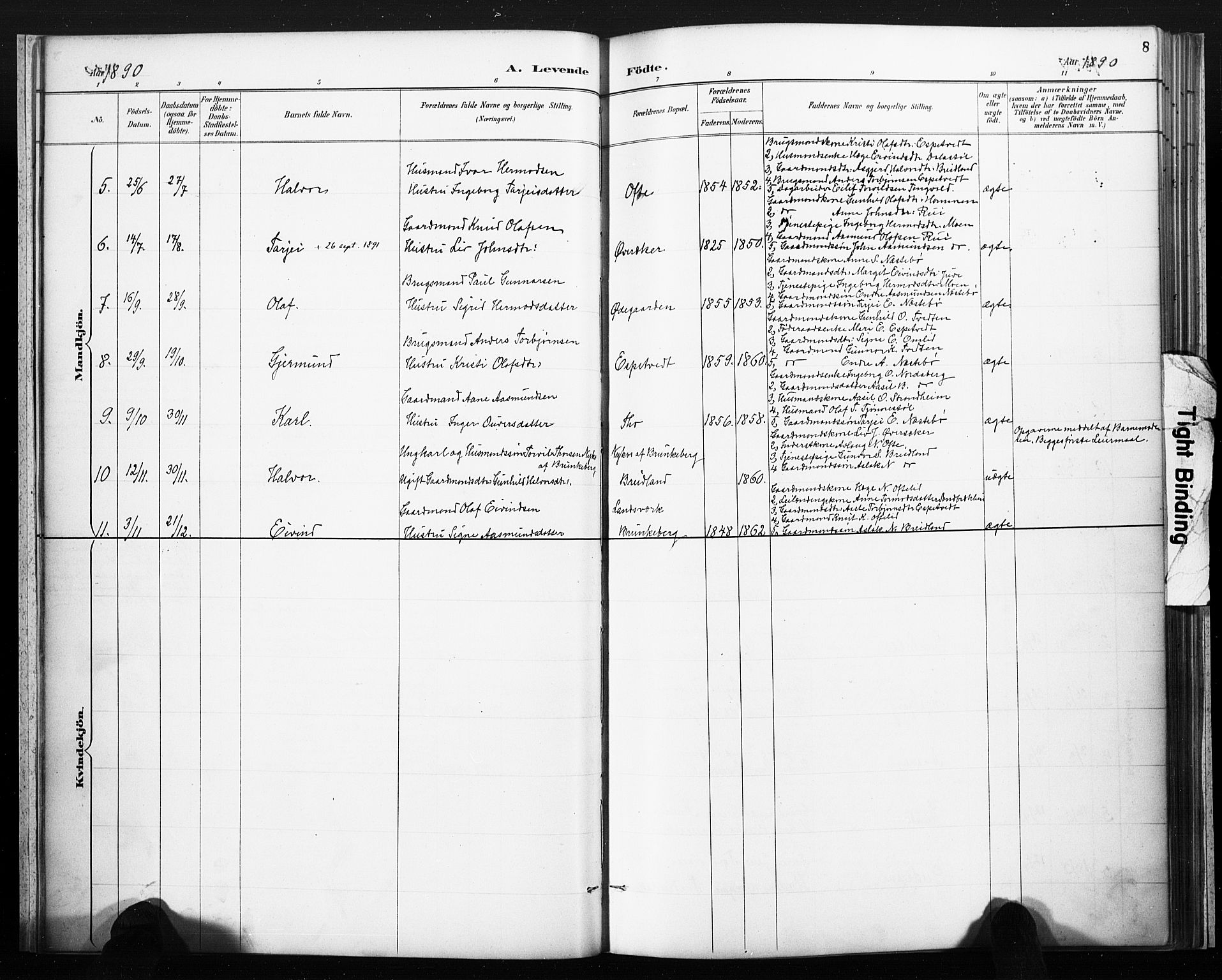 Lårdal kirkebøker, SAKO/A-284/F/Fc/L0002: Parish register (official) no. III 2, 1887-1906, p. 8