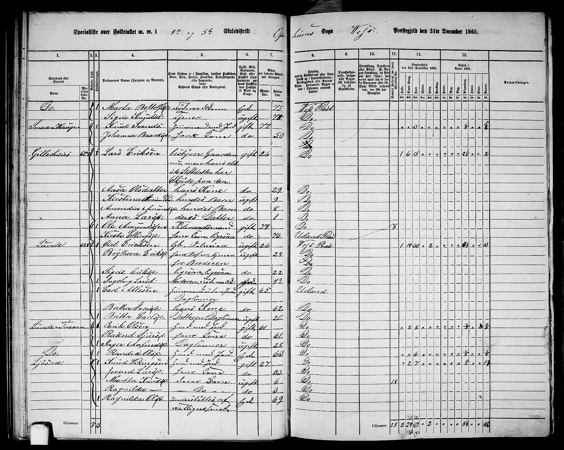 RA, 1865 census for Voss, 1865, p. 255