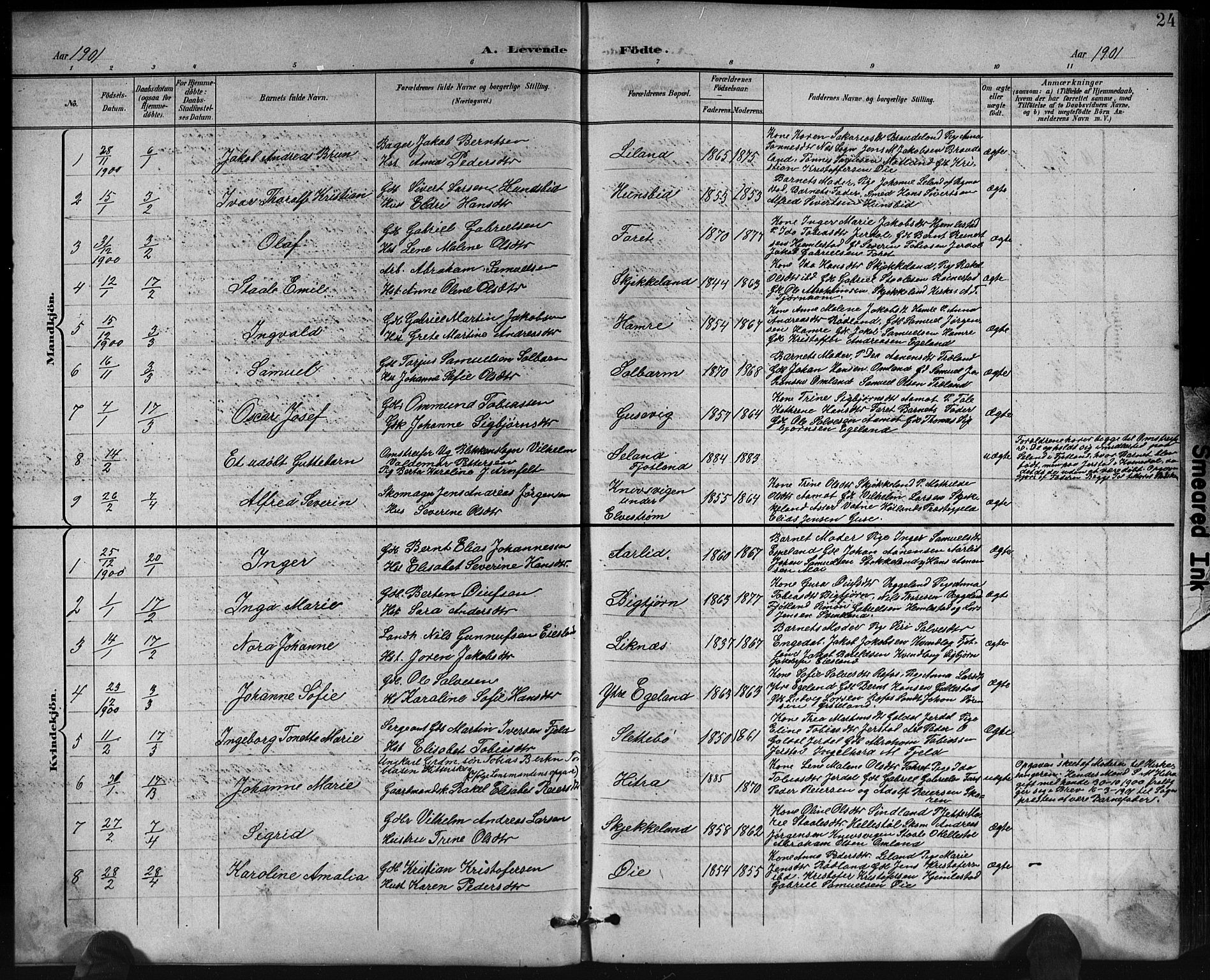 Kvinesdal sokneprestkontor, SAK/1111-0026/F/Fb/Fbb/L0003: Parish register (copy) no. B 3, 1898-1916, p. 24