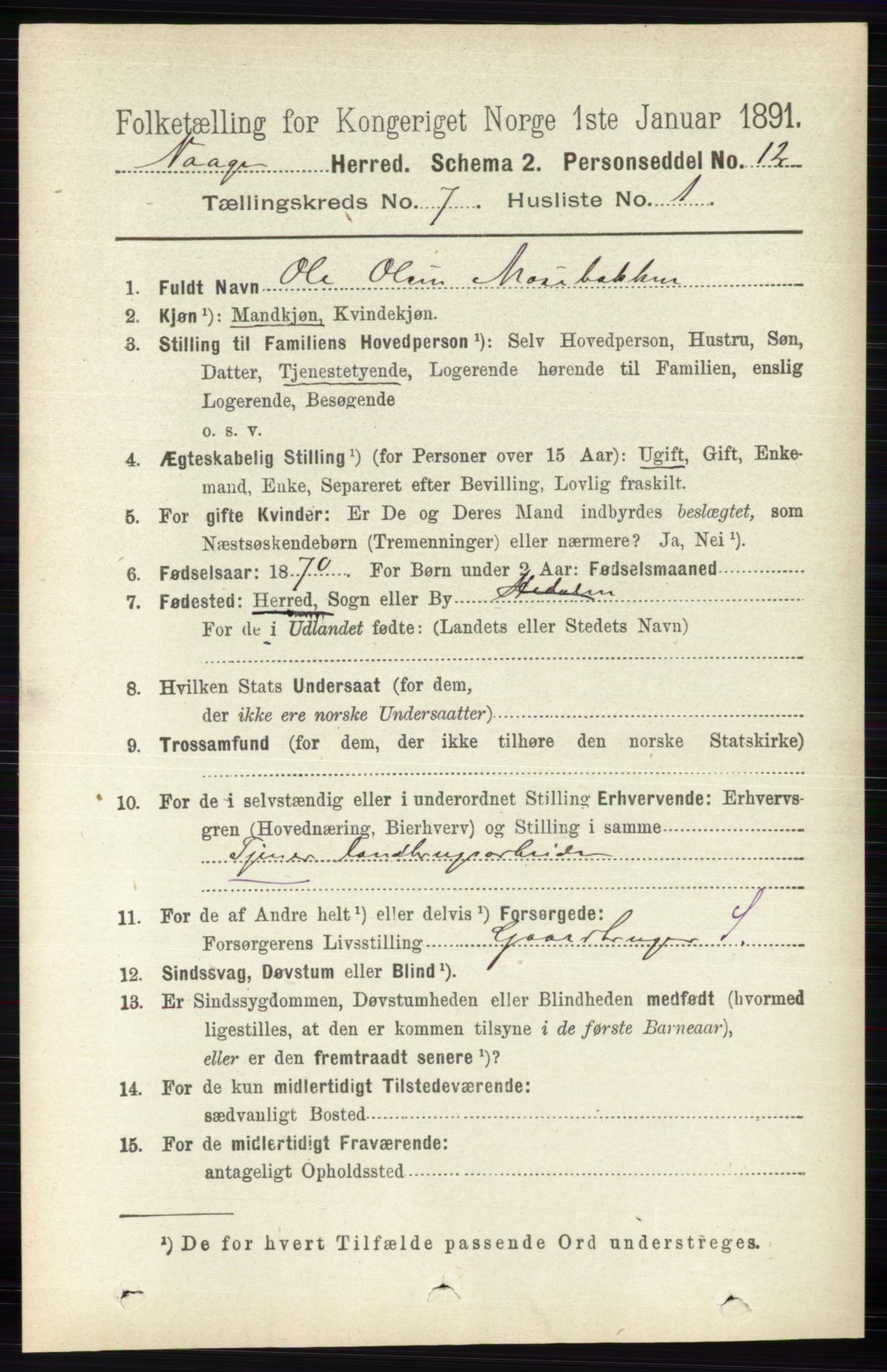 RA, 1891 census for 0515 Vågå, 1891, p. 4337