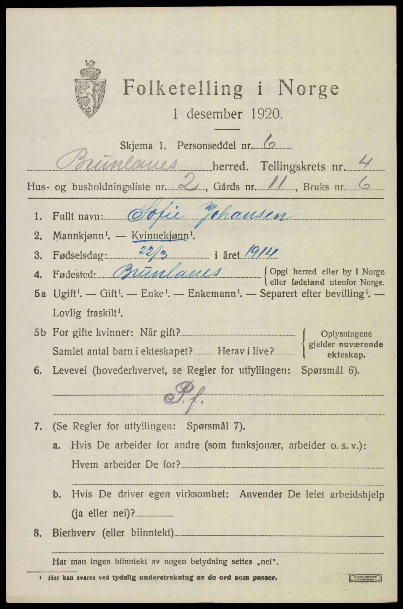 SAKO, 1920 census for Brunlanes, 1920, p. 6135