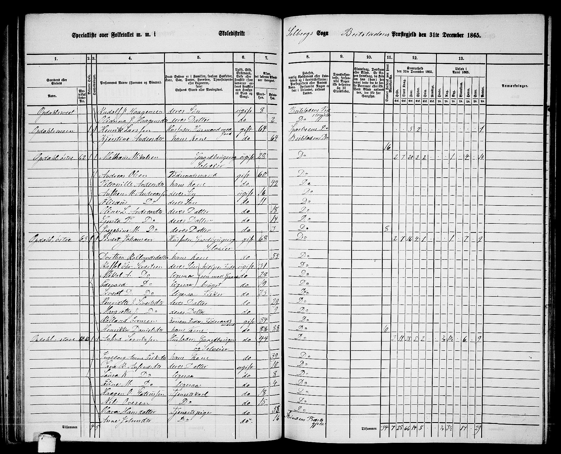 RA, 1865 census for Beitstad, 1865, p. 69