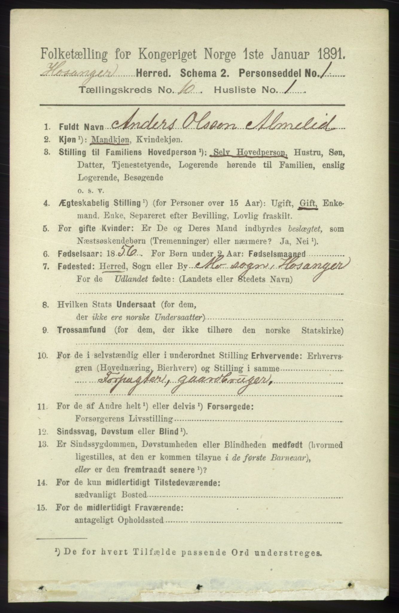 RA, 1891 census for 1253 Hosanger, 1891, p. 3458