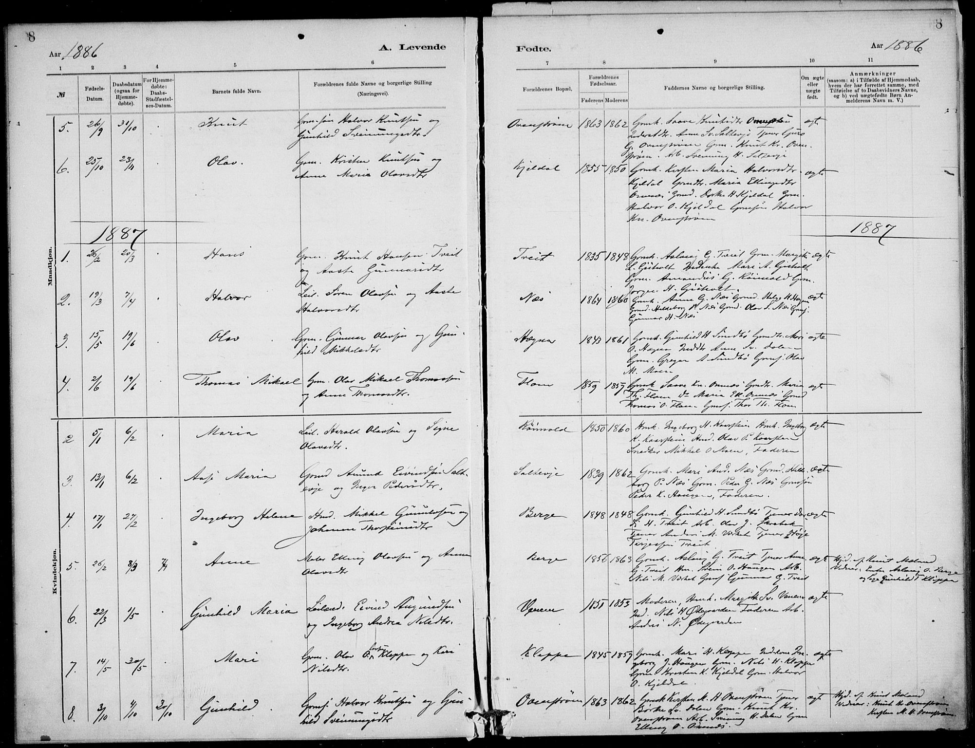 Lunde kirkebøker, AV/SAKO-A-282/F/Fb/L0003: Parish register (official) no. II 3, 1882-1891, p. 8