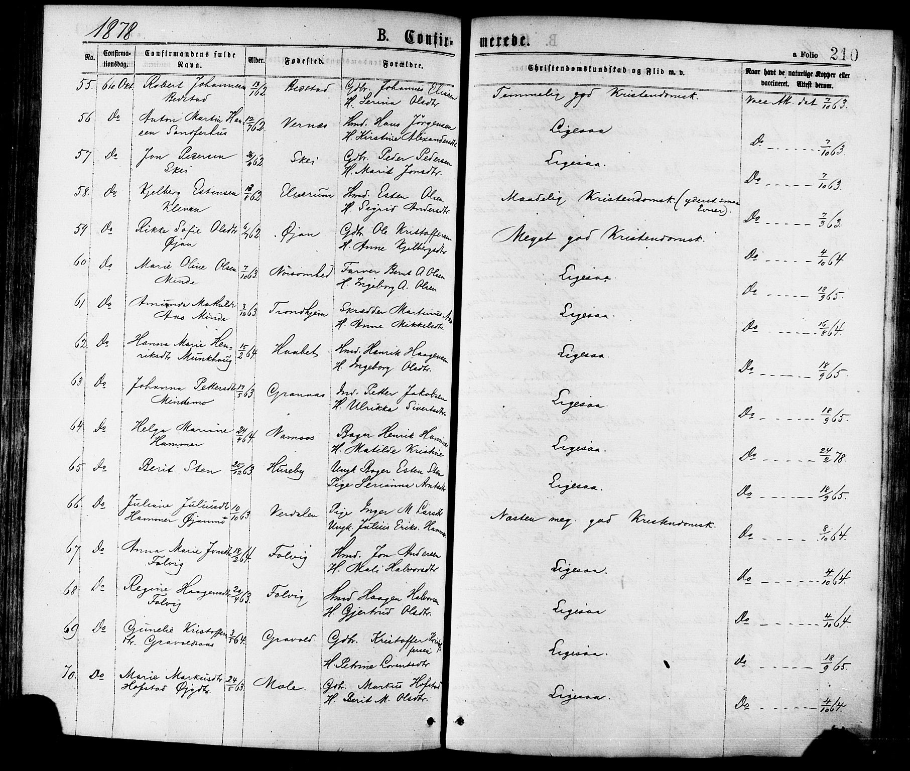 Ministerialprotokoller, klokkerbøker og fødselsregistre - Nord-Trøndelag, AV/SAT-A-1458/709/L0076: Parish register (official) no. 709A16, 1871-1879, p. 210