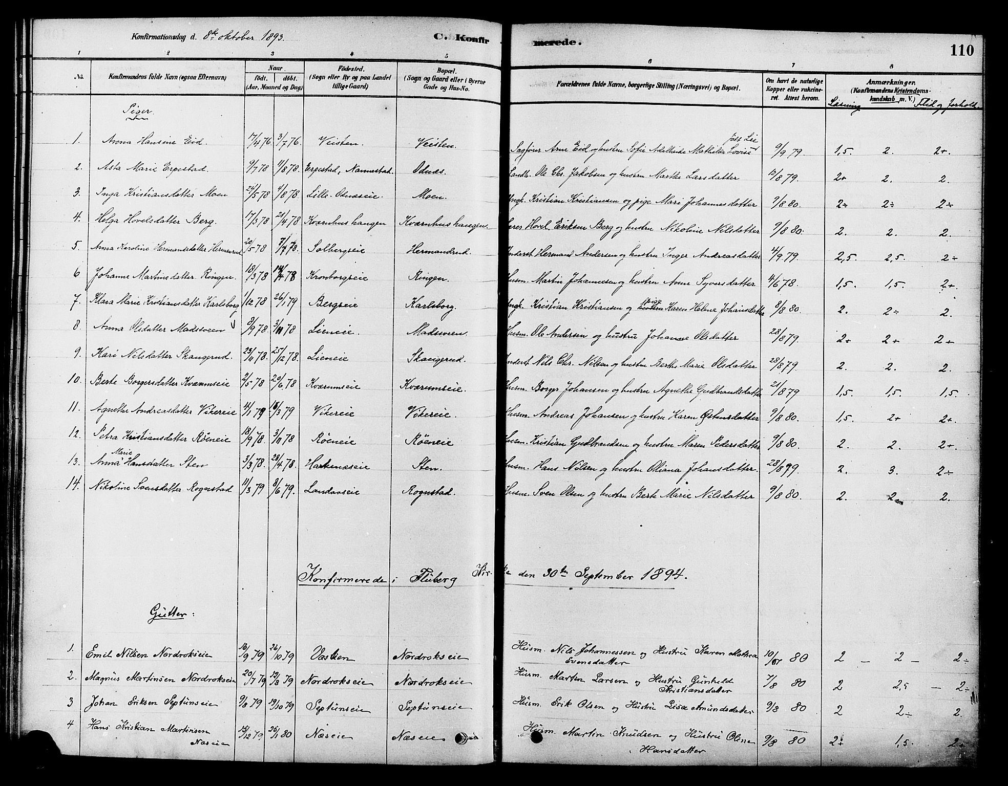 Søndre Land prestekontor, SAH/PREST-122/K/L0002: Parish register (official) no. 2, 1878-1894, p. 110
