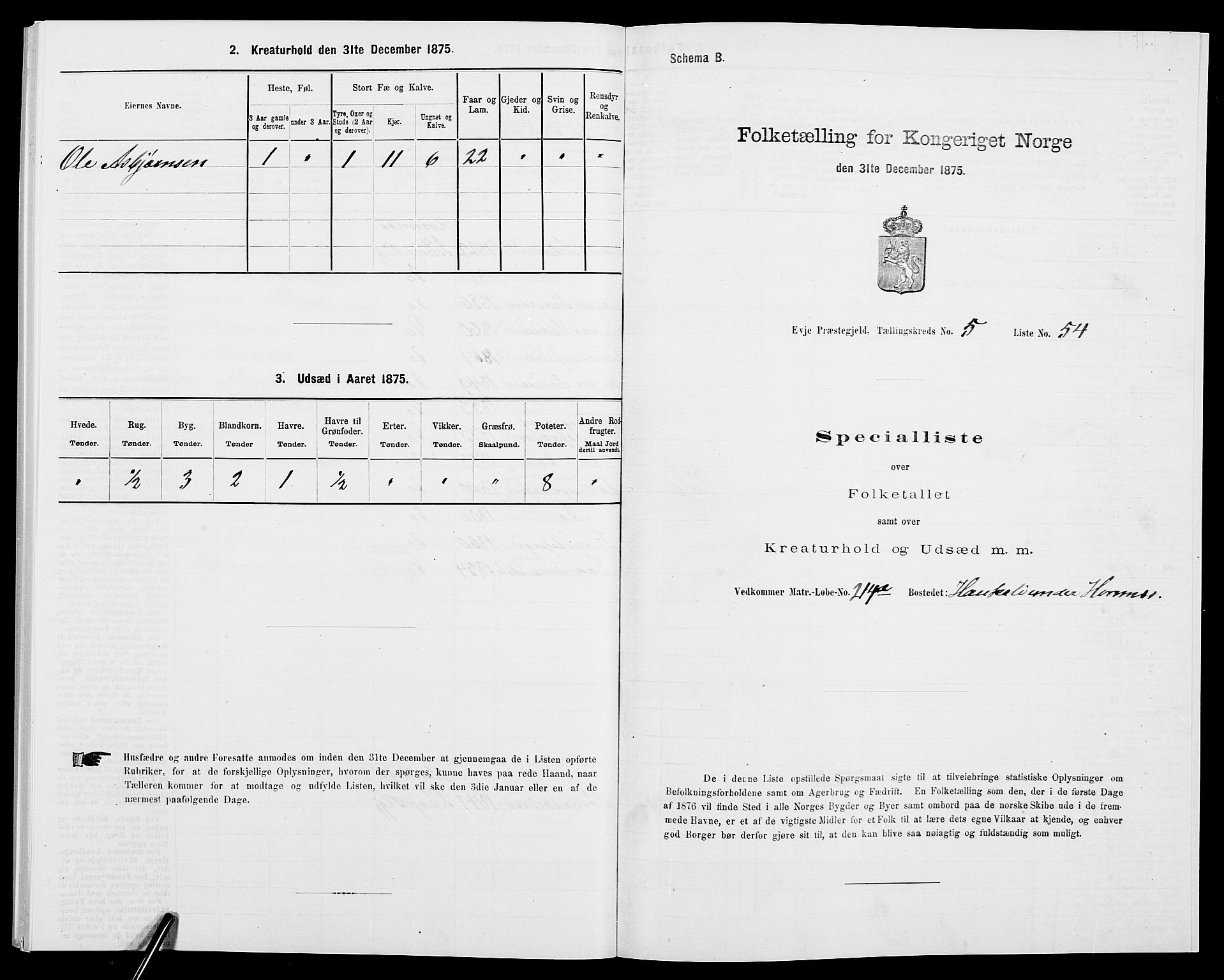 SAK, 1875 census for 0934P Evje, 1875, p. 505