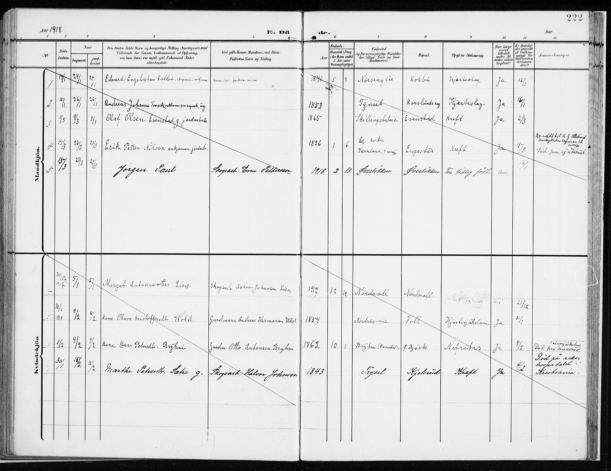 Løten prestekontor, AV/SAH-PREST-022/K/Ka/L0011: Parish register (official) no. 11, 1908-1917, p. 222