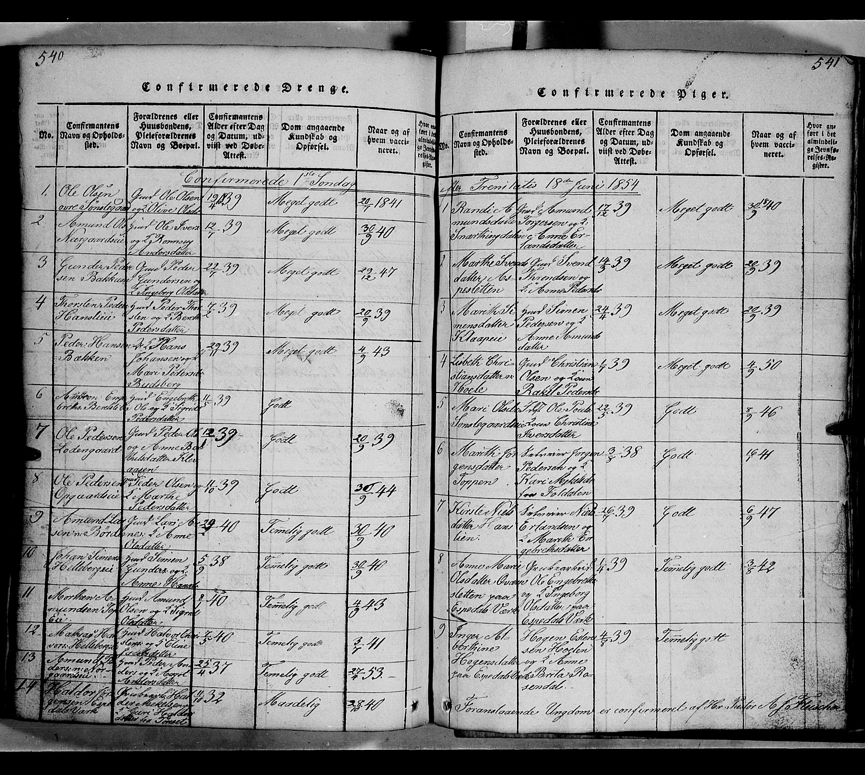Gausdal prestekontor, SAH/PREST-090/H/Ha/Hab/L0002: Parish register (copy) no. 2, 1818-1874, p. 540-541