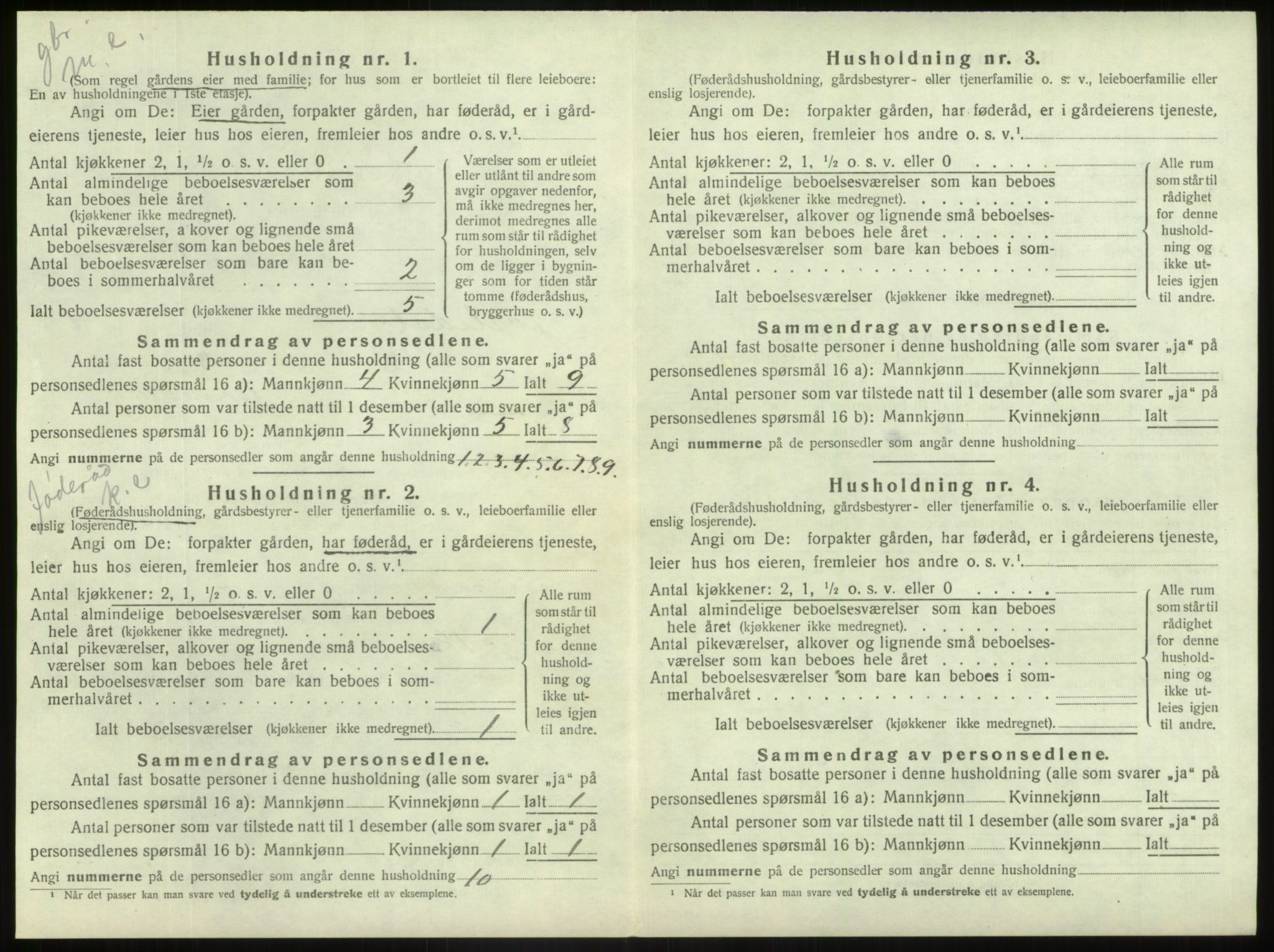 SAB, 1920 census for Jostedal, 1920, p. 49