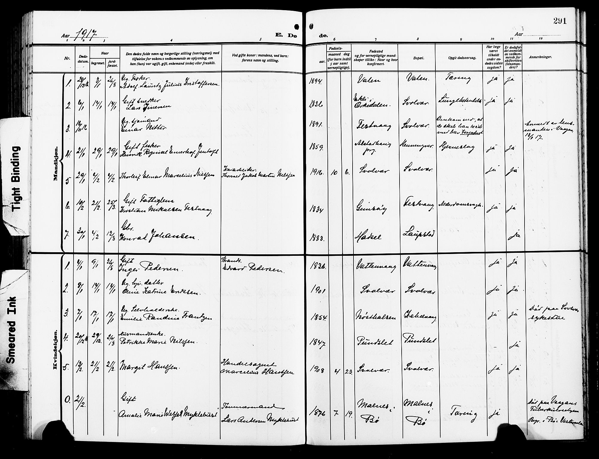 Ministerialprotokoller, klokkerbøker og fødselsregistre - Nordland, AV/SAT-A-1459/874/L1080: Parish register (copy) no. 874C09, 1915-1925, p. 291