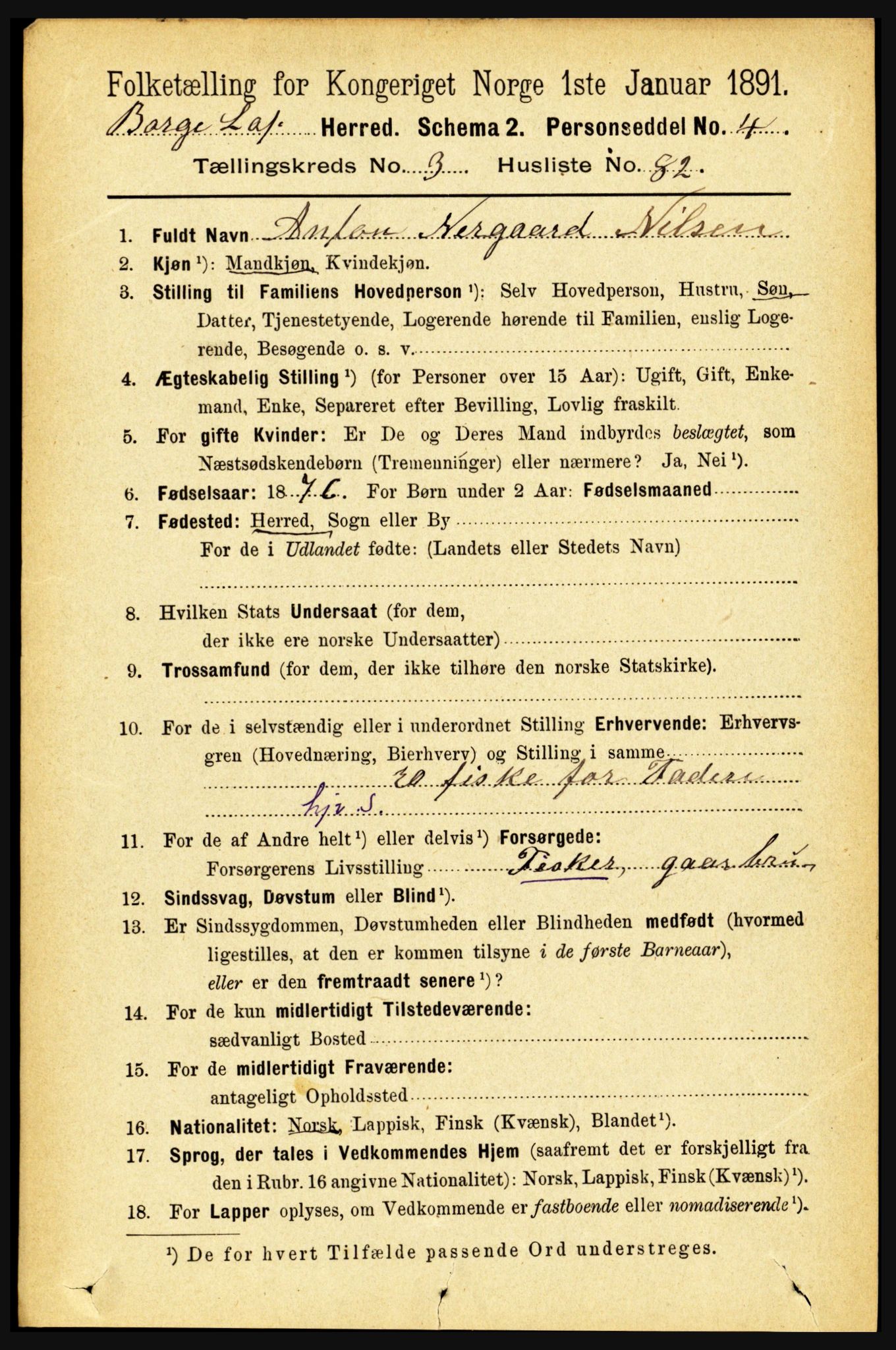 RA, 1891 census for 1862 Borge, 1891, p. 2025