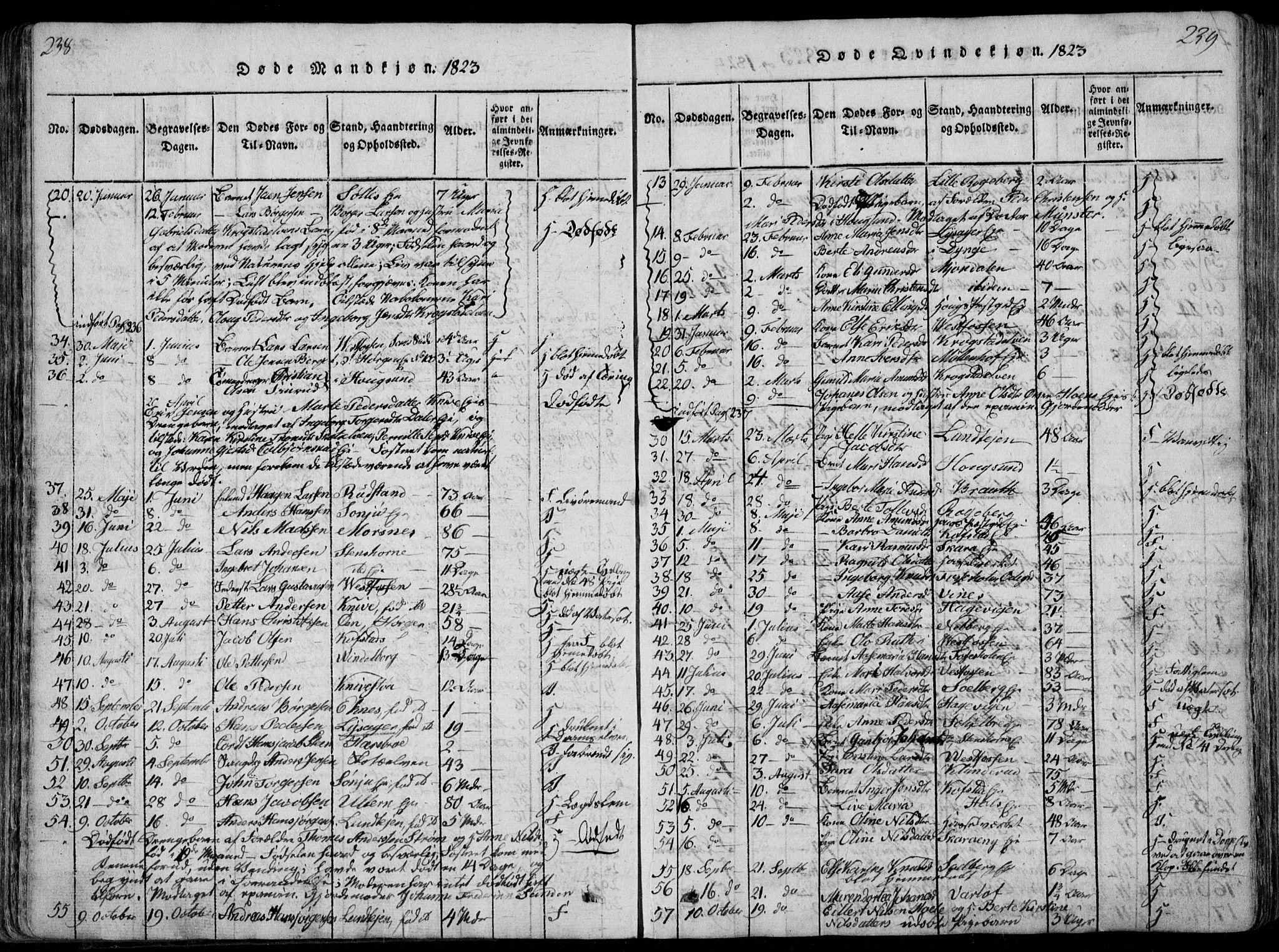 Eiker kirkebøker, AV/SAKO-A-4/F/Fa/L0011: Parish register (official) no. I 11, 1814-1827, p. 238-239