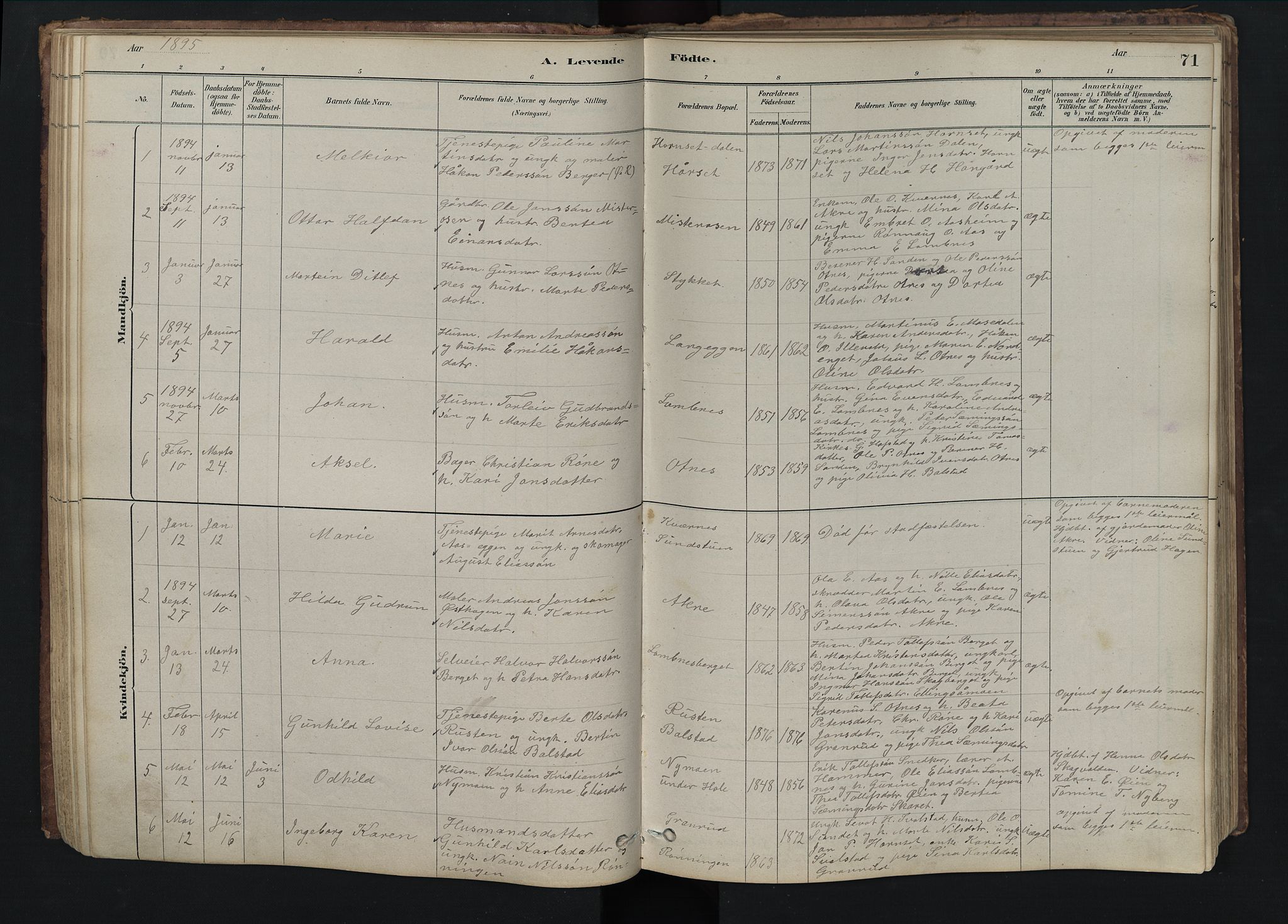 Rendalen prestekontor, SAH/PREST-054/H/Ha/Hab/L0009: Parish register (copy) no. 9, 1879-1902, p. 71