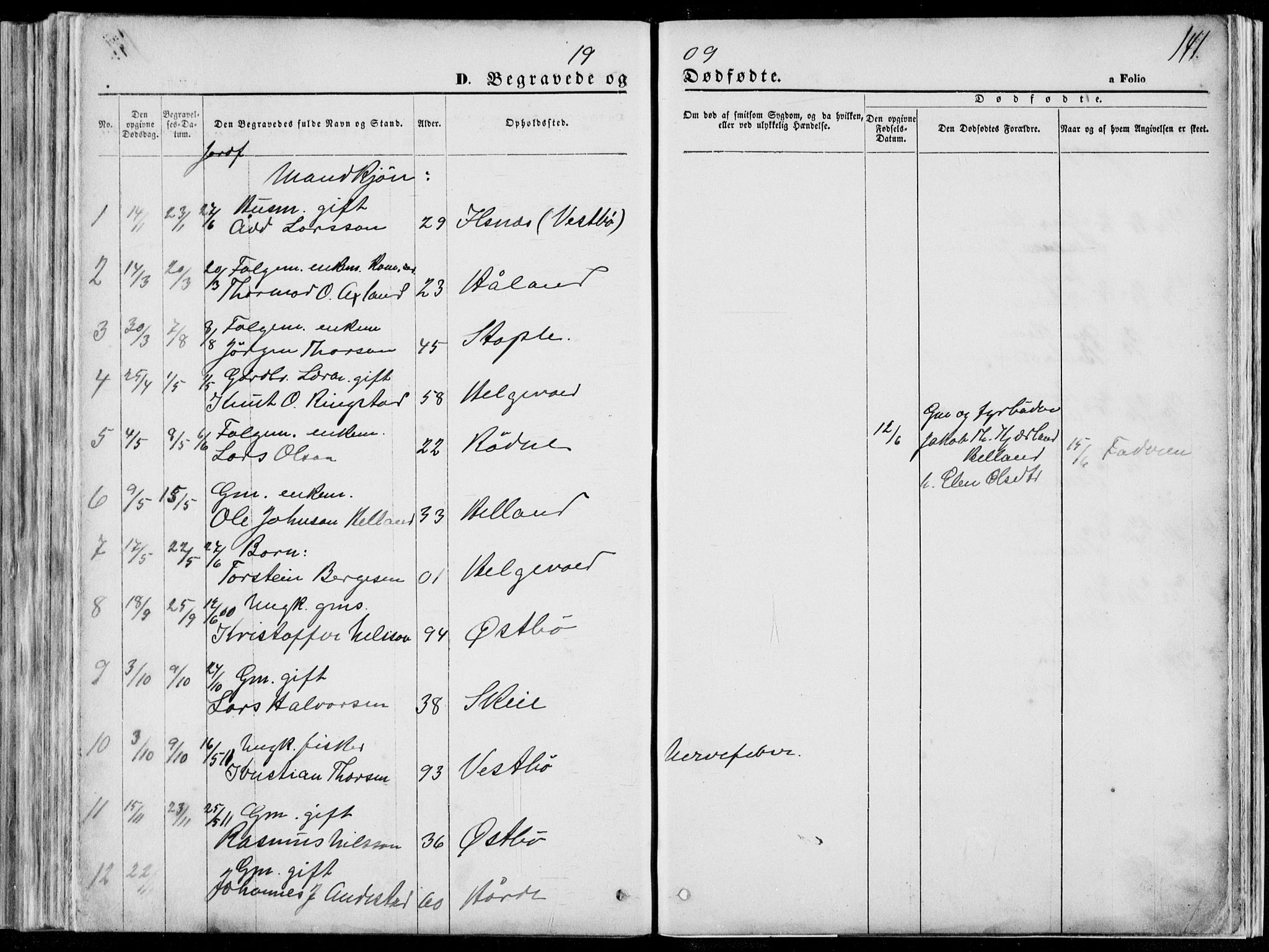 Vikedal sokneprestkontor, SAST/A-101840/01/V: Parish register (copy) no. B 10, 1864-1926, p. 141
