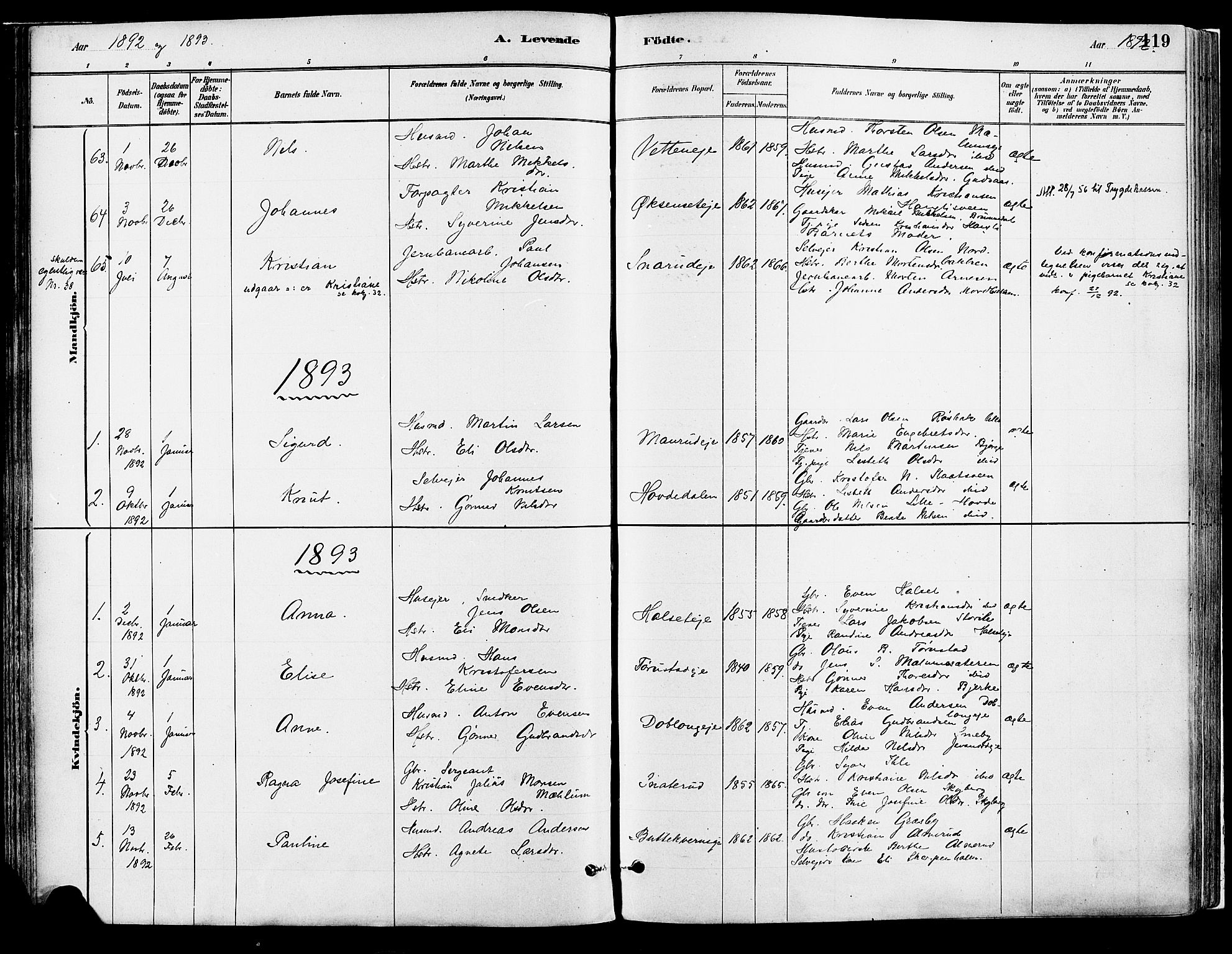 Vang prestekontor, Hedmark, SAH/PREST-008/H/Ha/Haa/L0018A: Parish register (official) no. 18A, 1880-1906, p. 119