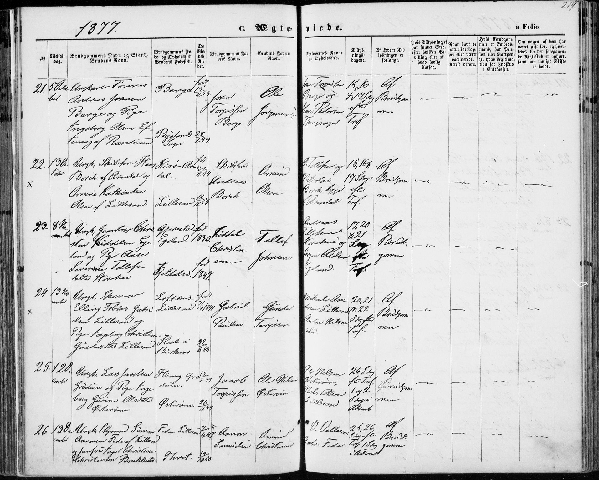 Vestre Moland sokneprestkontor, AV/SAK-1111-0046/F/Fa/Fab/L0008: Parish register (official) no. A 8, 1873-1883, p. 219