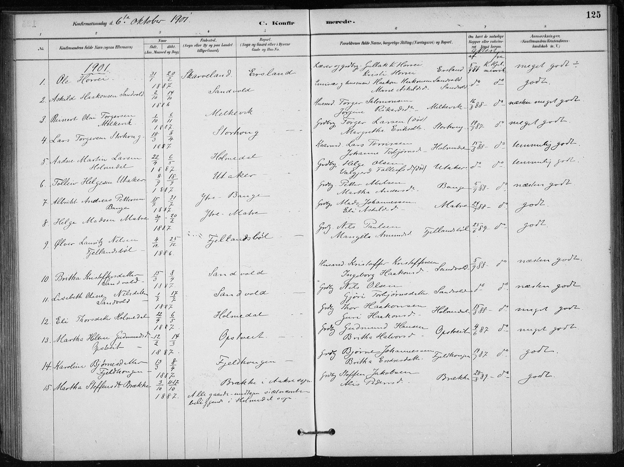 Skånevik sokneprestembete, SAB/A-77801/H/Haa: Parish register (official) no. C  1, 1879-1917, p. 125