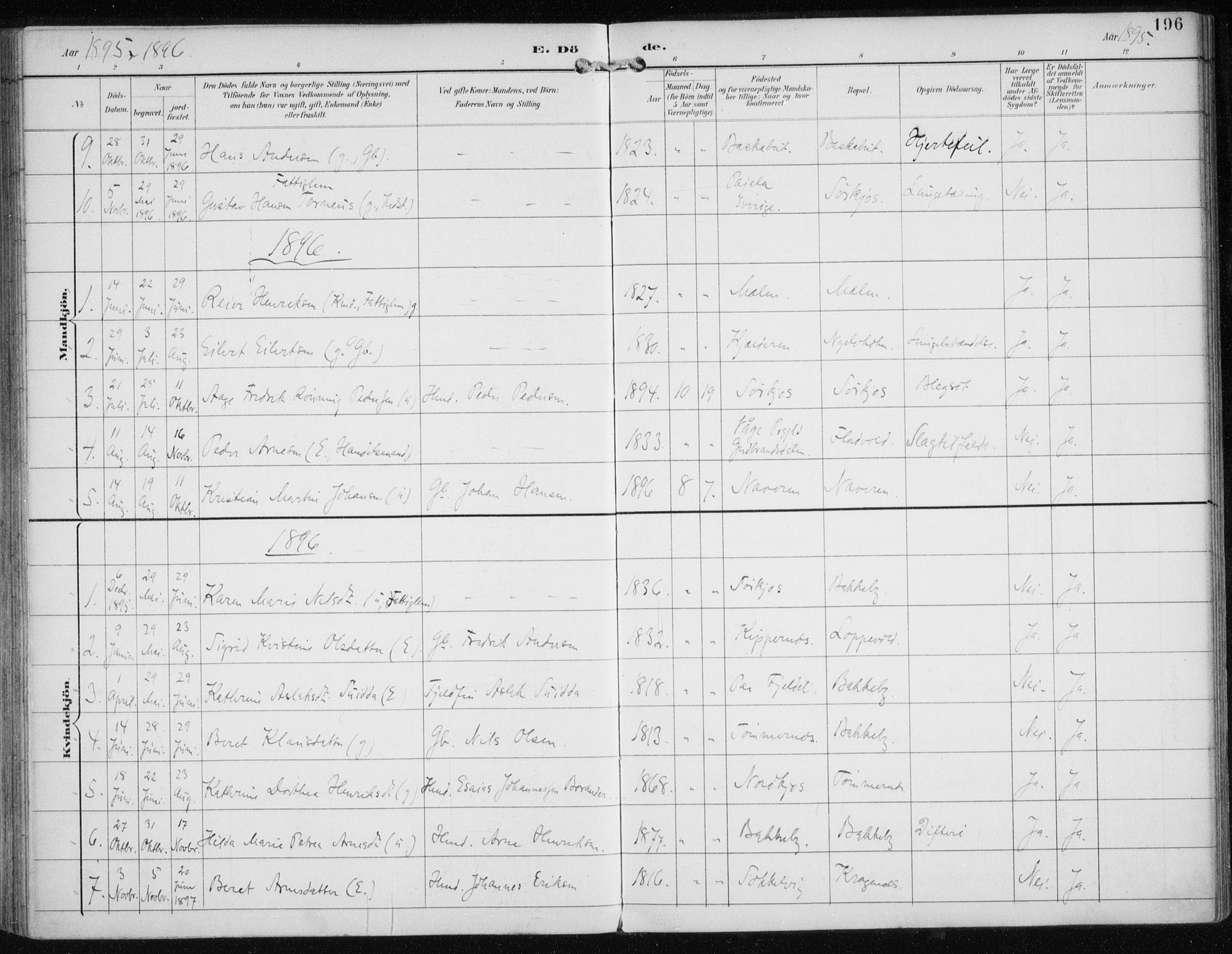 Skjervøy sokneprestkontor, SATØ/S-1300/H/Ha/Haa/L0017kirke: Parish register (official) no. 17, 1895-1911, p. 196